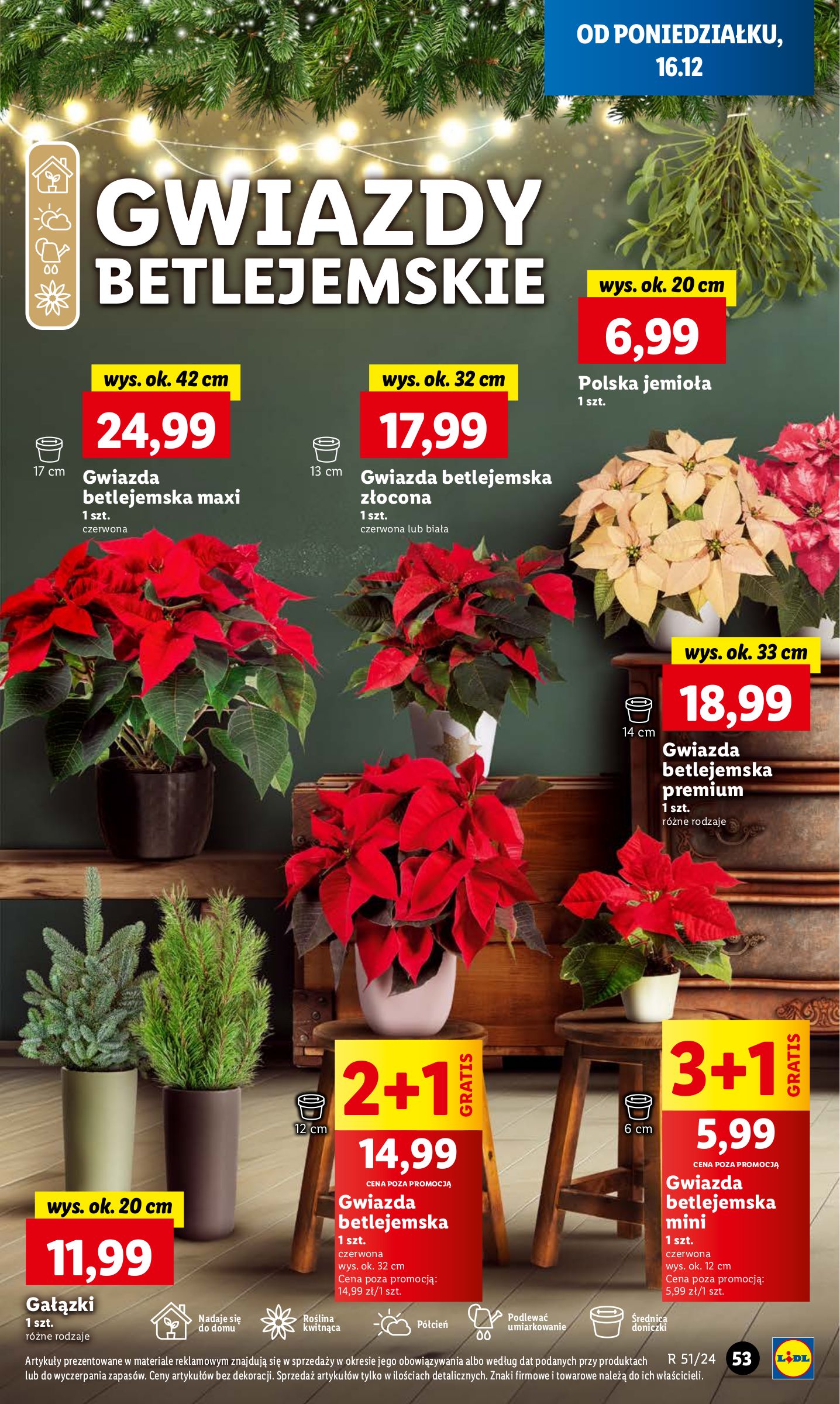 lidl - Lidl gazetka ważna od 16.12. - 18.12. - page: 63