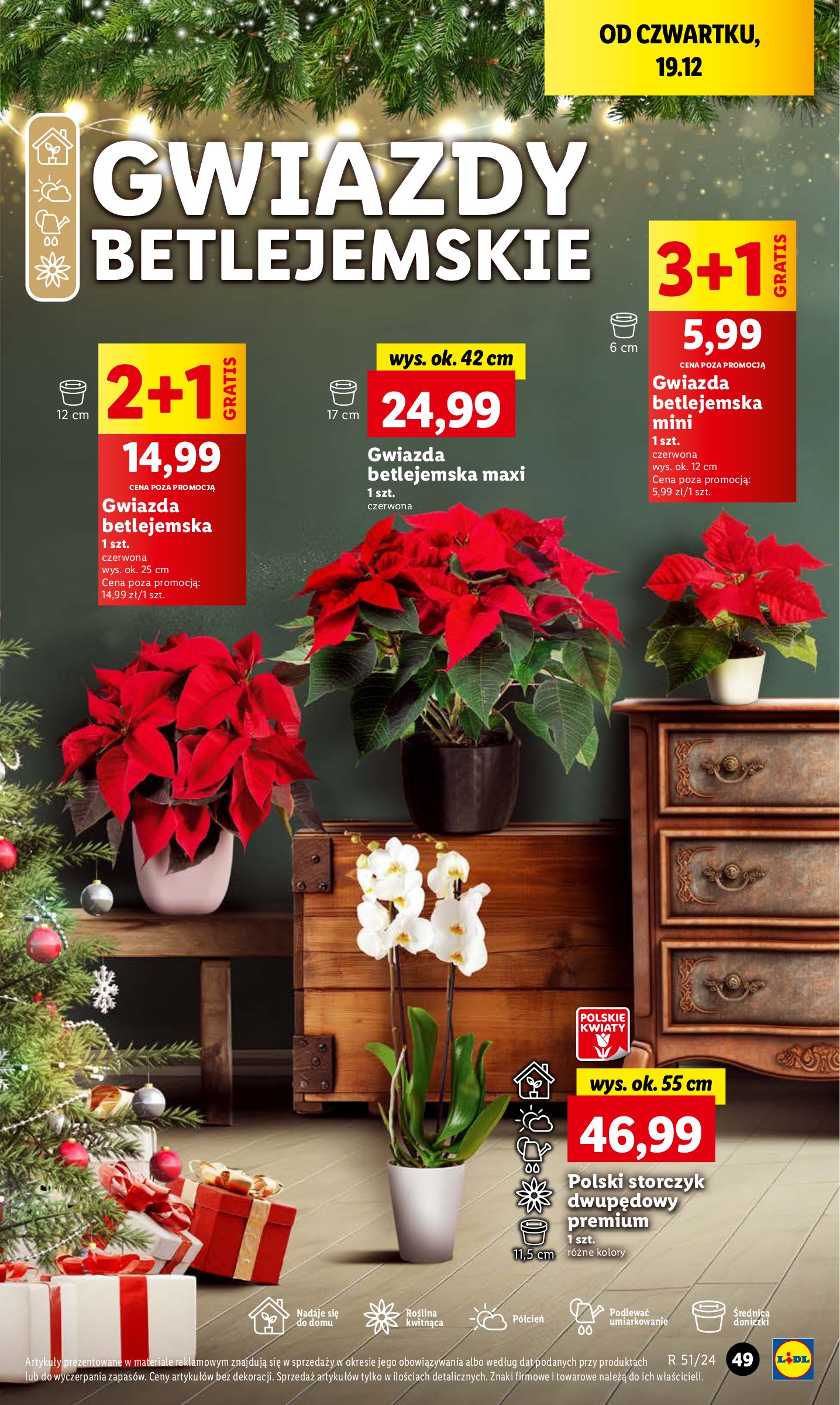 lidl - Lidl gazetka ważna od 19.12. - 22.12. - page: 55