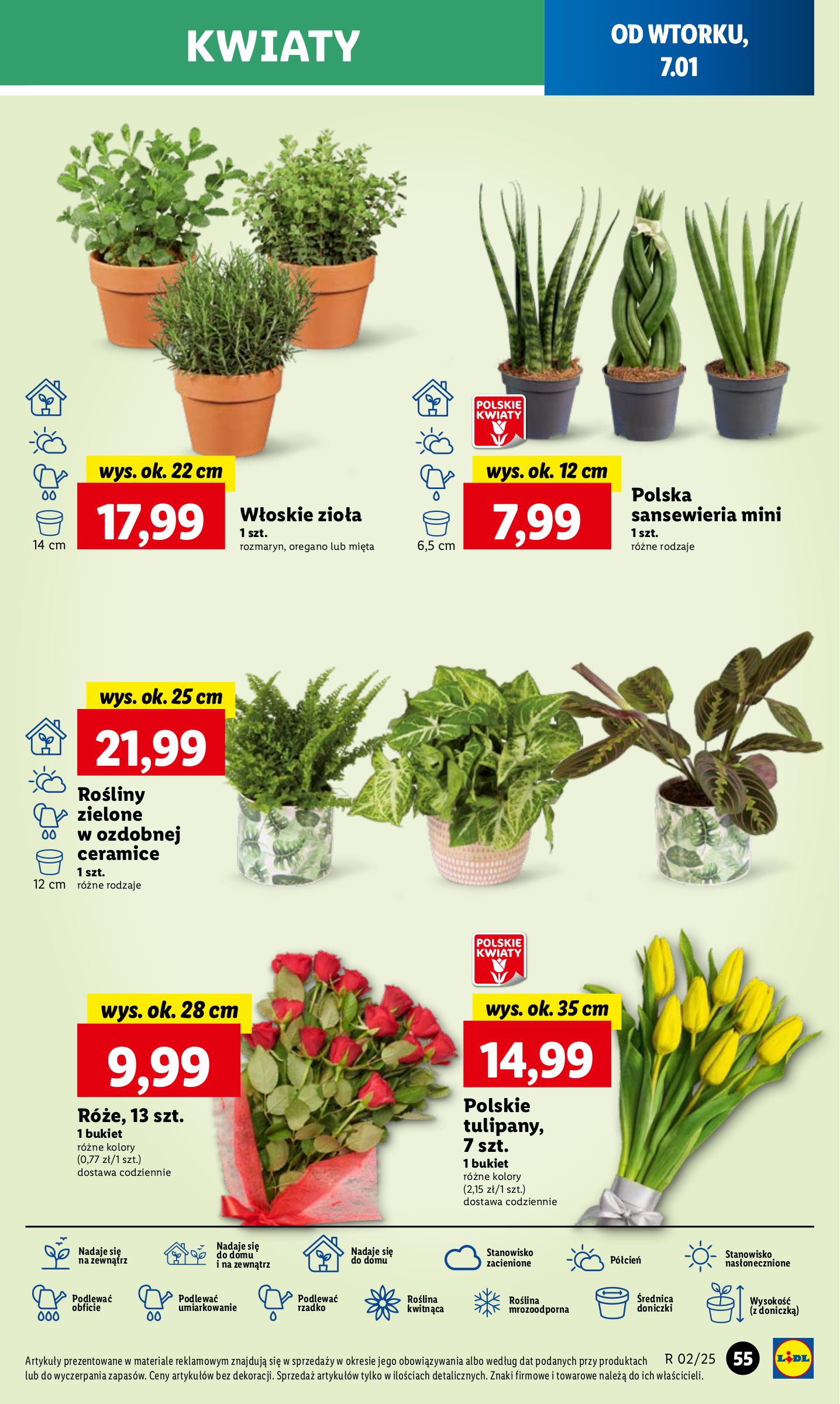 lidl - Lidl gazetka ważna od 07.01. - 08.01. - page: 61