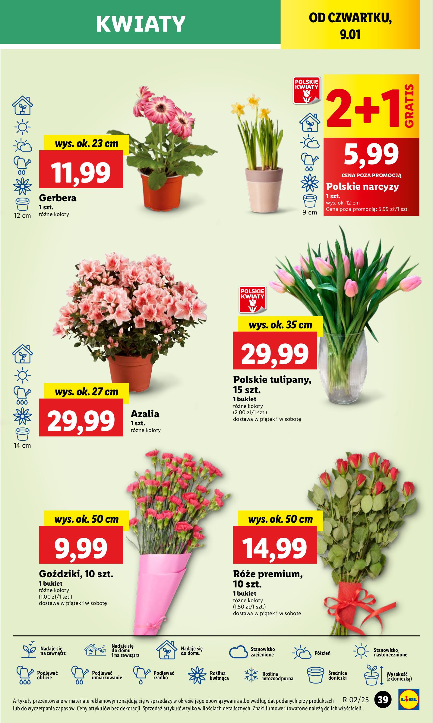 lidl - Lidl gazetka ważna od 09.01. - 11.01. - page: 45