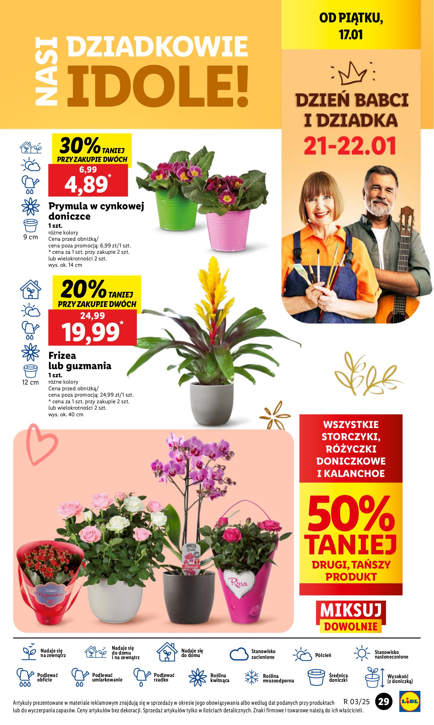 lidl - Lidl gazetka ważna od 16.01. - 18.01. - page: 31