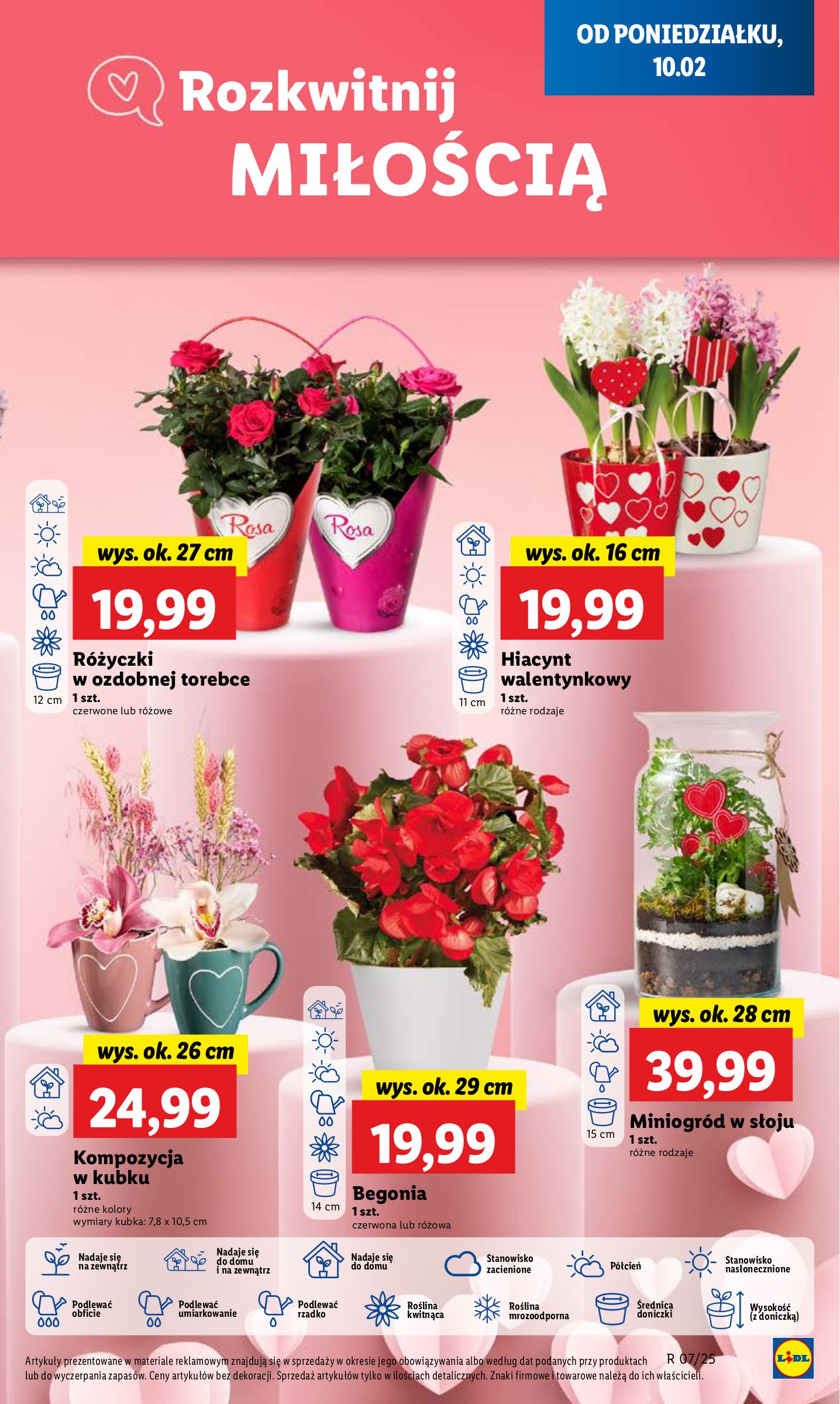 lidl - Lidl gazetka ważna od 10.02. - 12.02. - page: 23