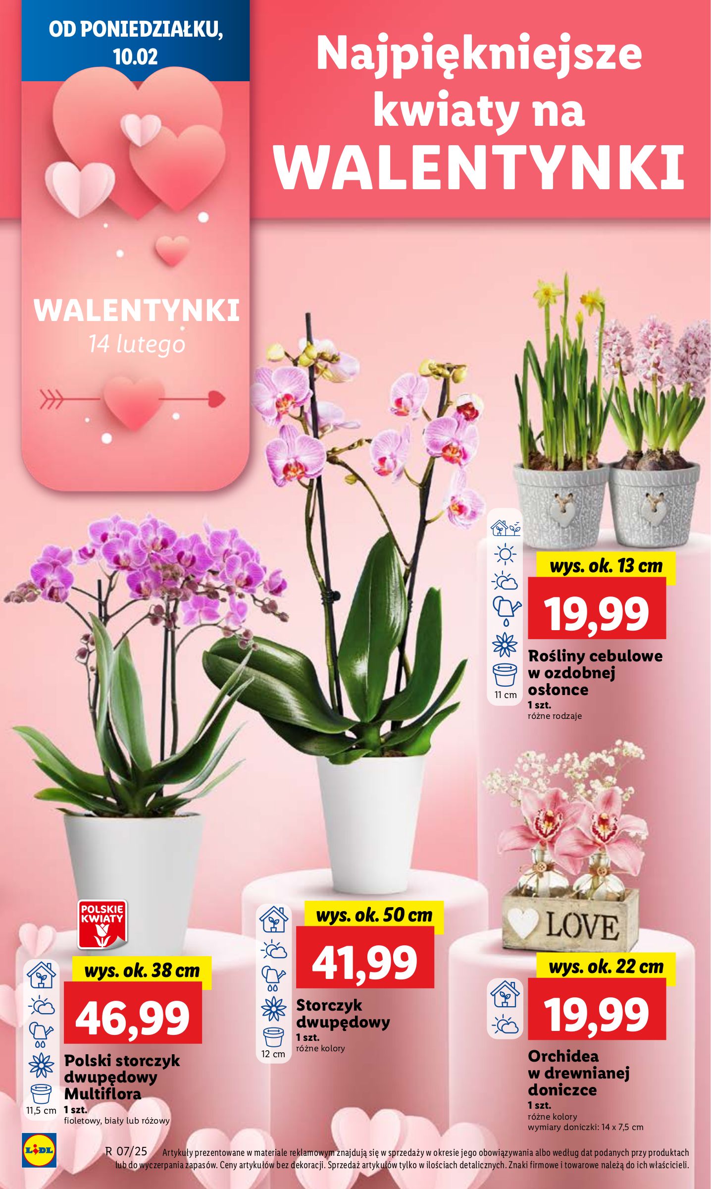 lidl - Lidl gazetka ważna od 10.02. - 12.02. - page: 22