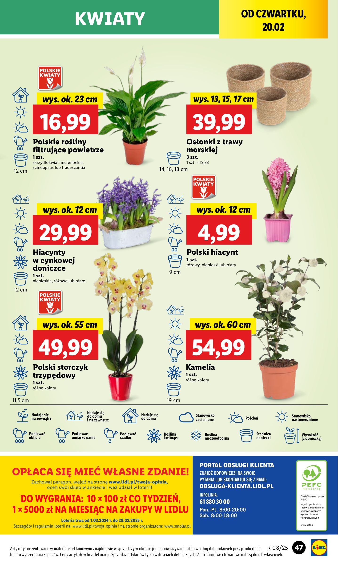 lidl - Lidl gazetka ważna od 20.02. - 22.02. - page: 53