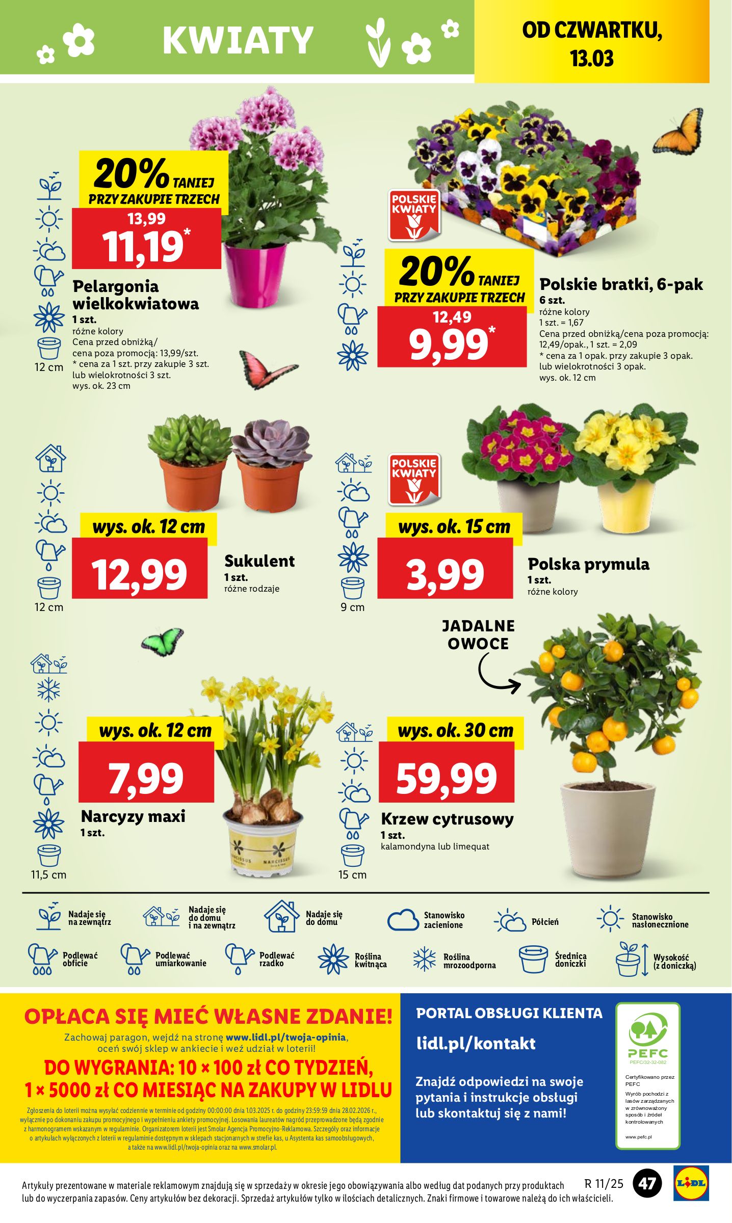 lidl - Lidl gazetka ważna od 13.03. - 15.03. - page: 55