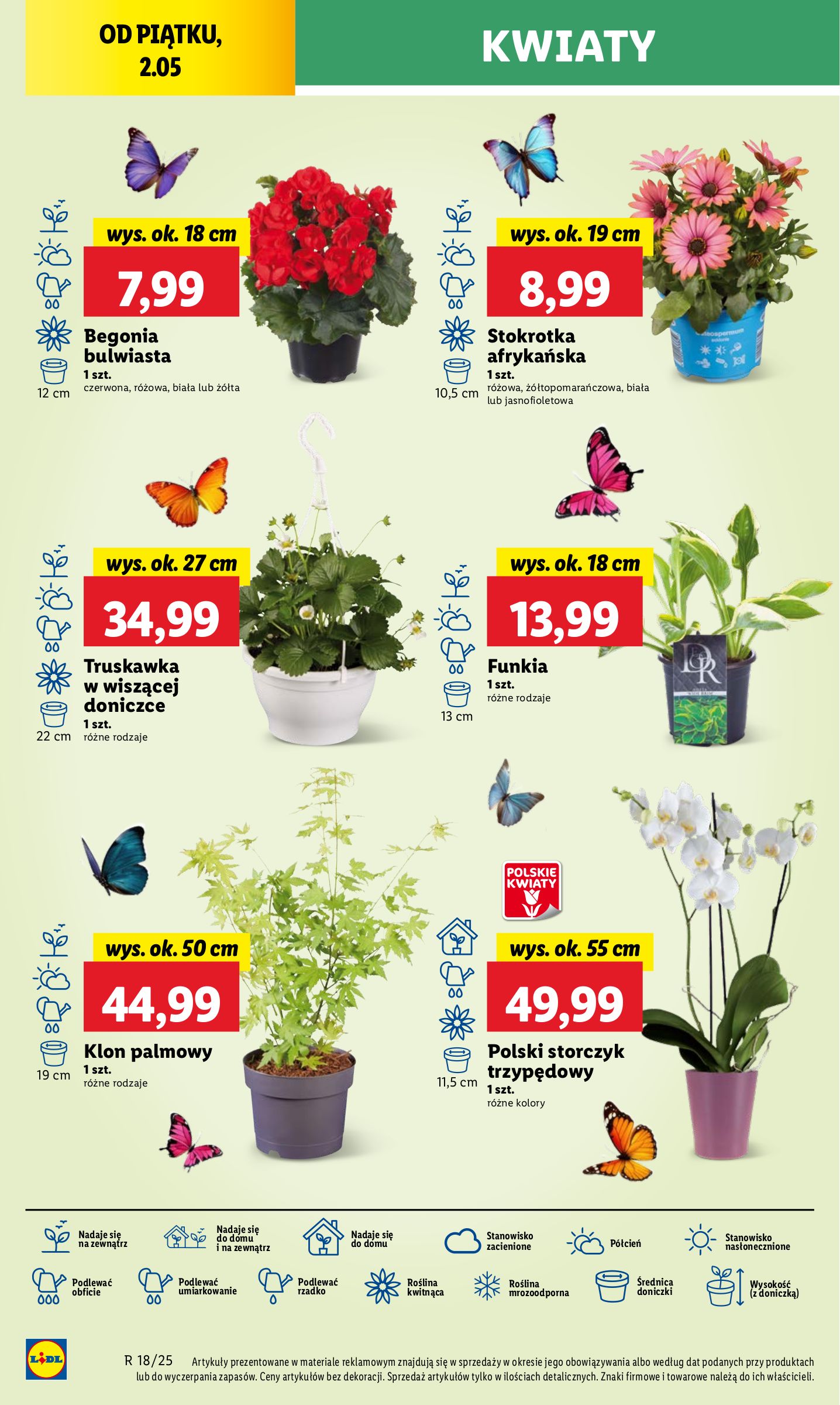 lidl - Lidl gazetka ważna od 30.04. - 02.05. - page: 40 lidl - Lidl gazetka ważna od 30.04. - 02.05. - page: 40