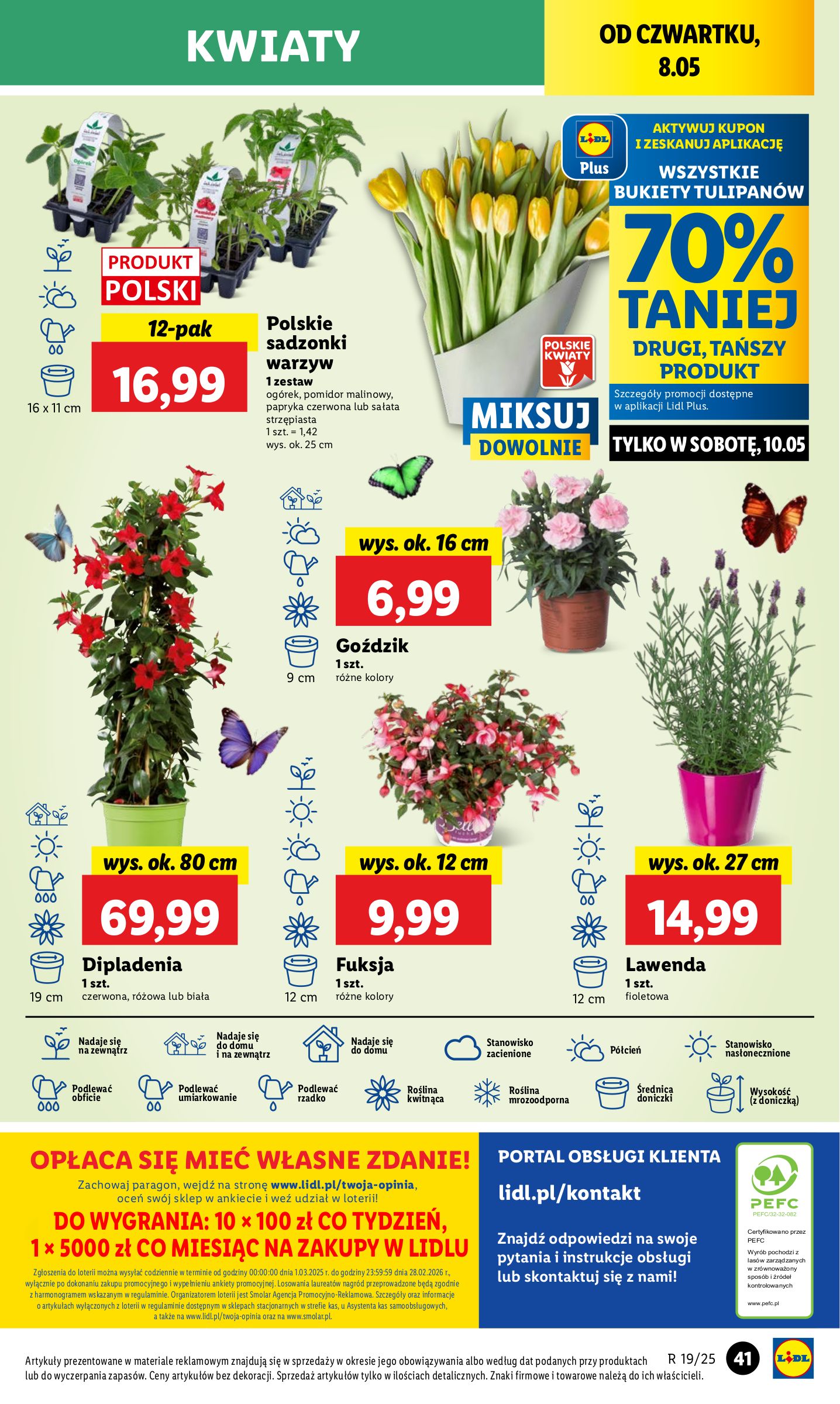 lidl - Lidl gazetka ważna od 08.05. - 10.05. - page: 49 lidl - Lidl gazetka ważna od 08.05. - 10.05. - page: 49
