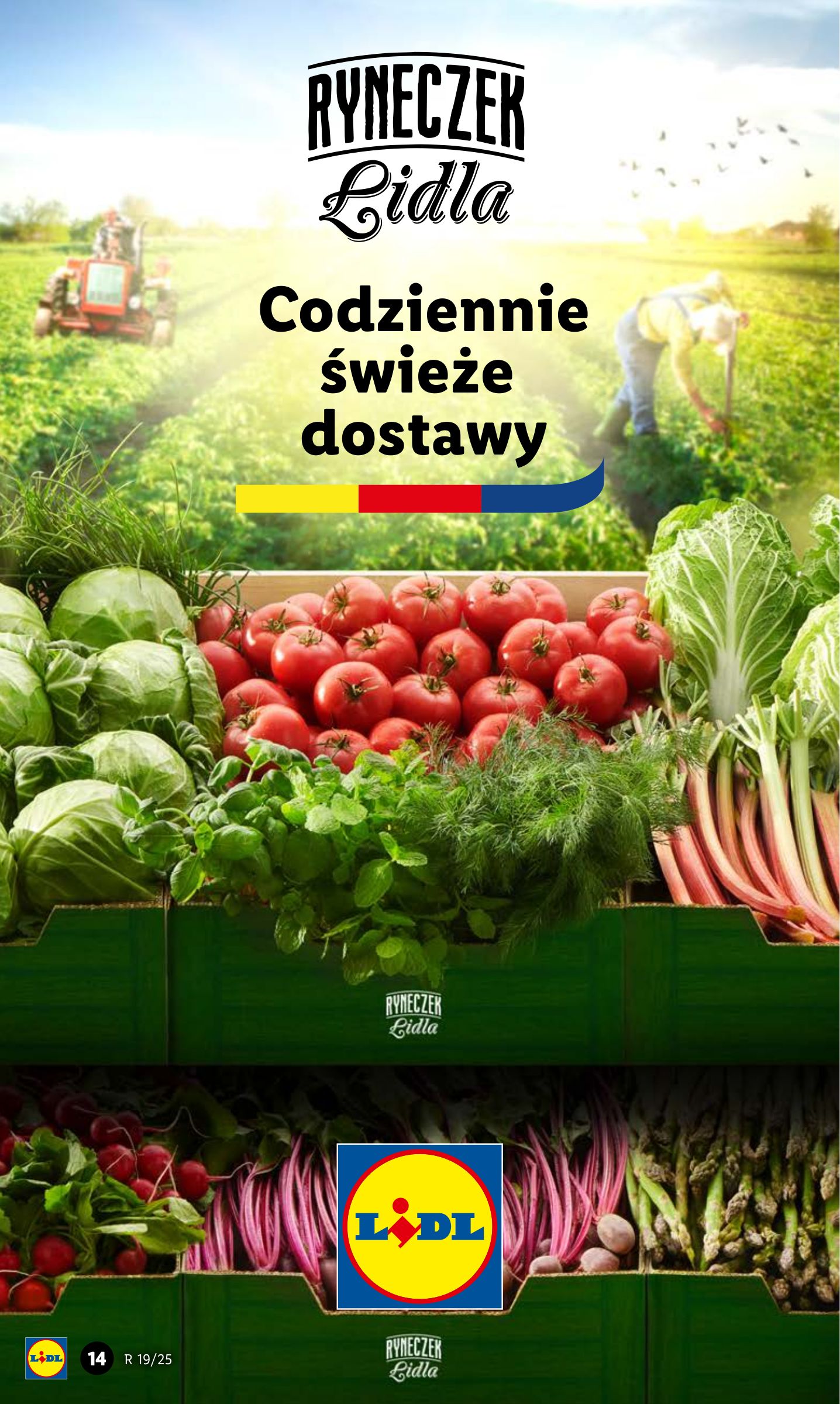 lidl - Lidl gazetka ważna od 08.05. - 10.05. - page: 16 lidl - Lidl gazetka ważna od 08.05. - 10.05. - page: 16