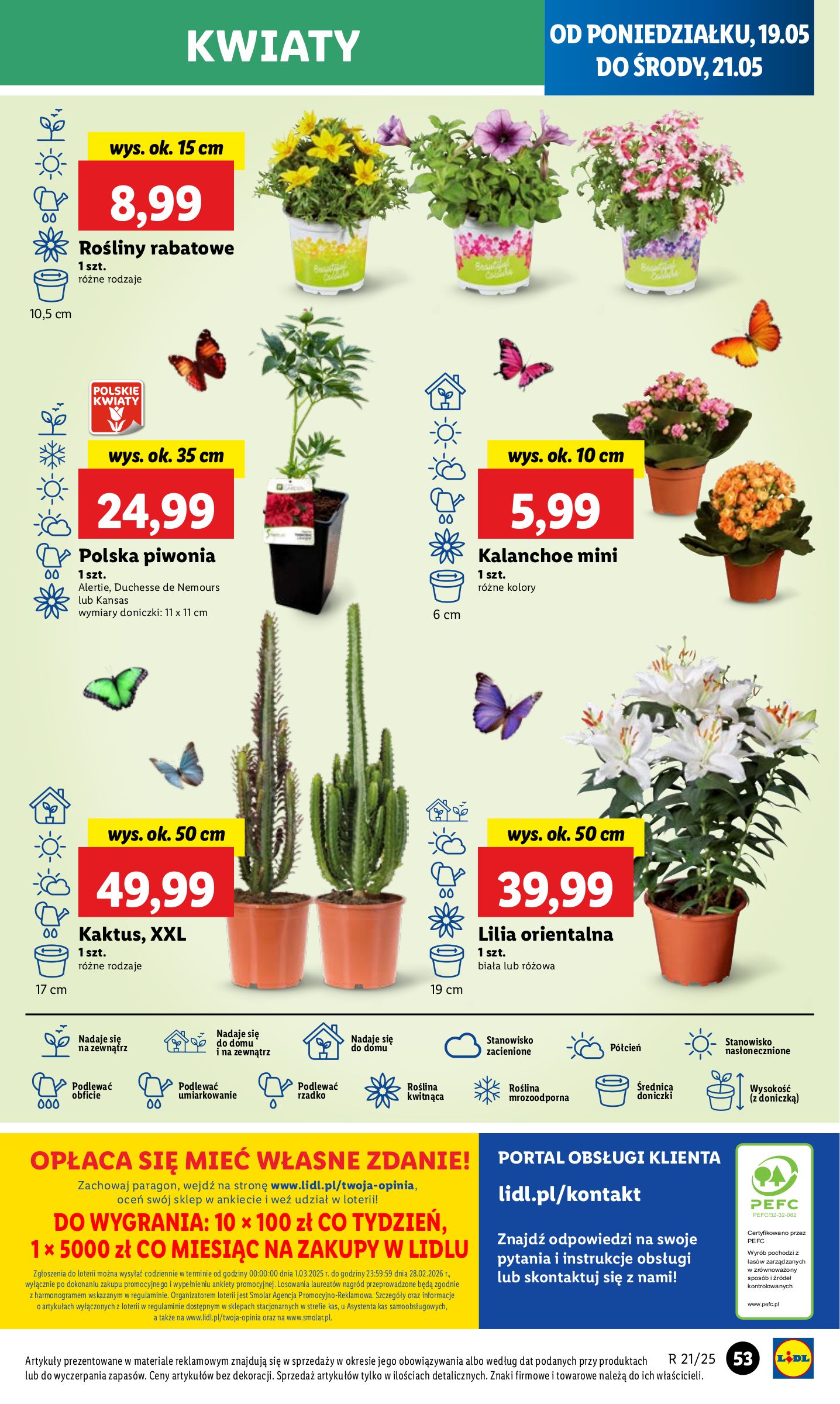 lidl - Lidl gazetka ważna od 19.05. - 21.05. - page: 61 lidl - Lidl gazetka ważna od 19.05. - 21.05. - page: 61