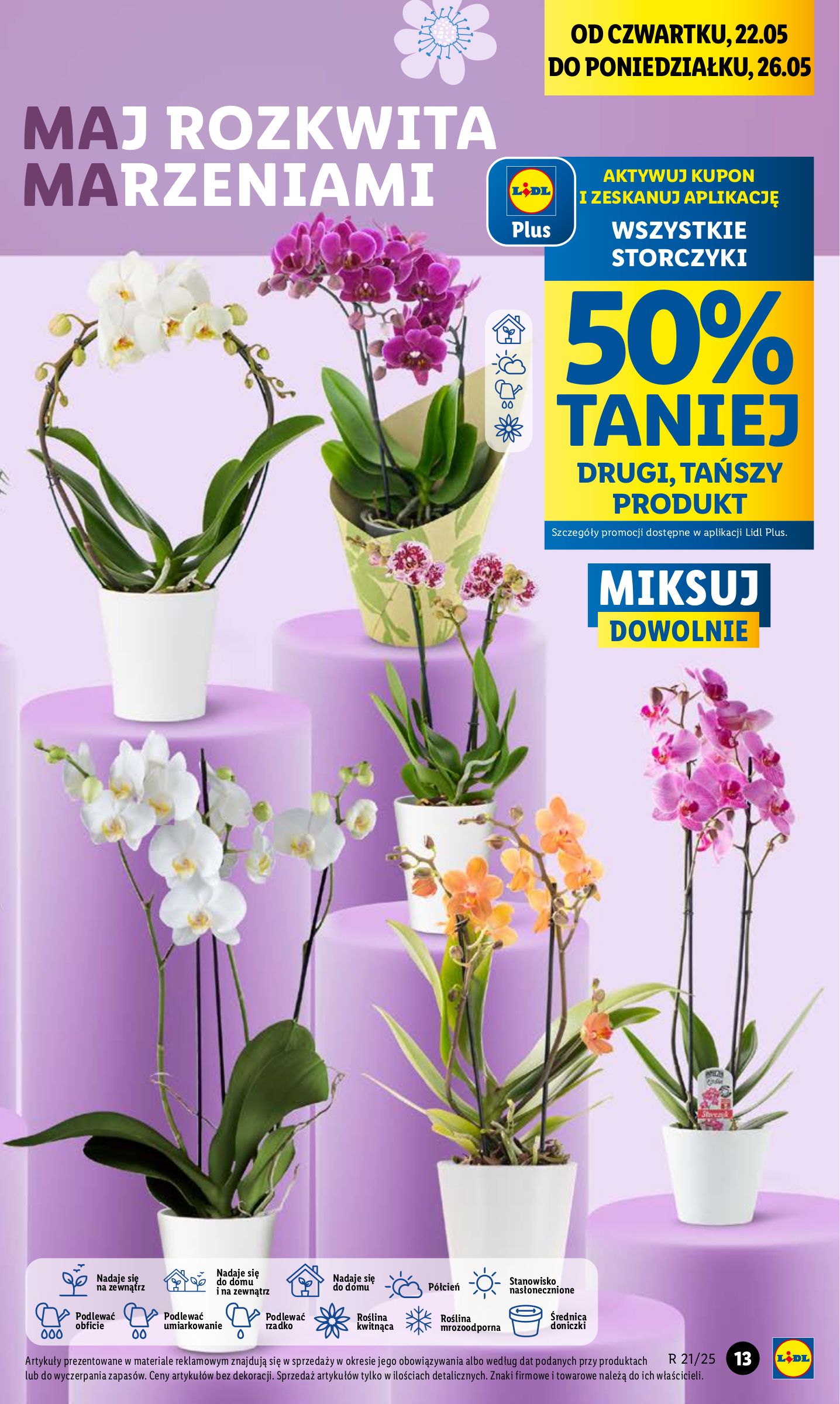 lidl - Lidl gazetka ważna od 22.05. - 24.05. - page: 15 lidl - Lidl gazetka ważna od 22.05. - 24.05. - page: 15