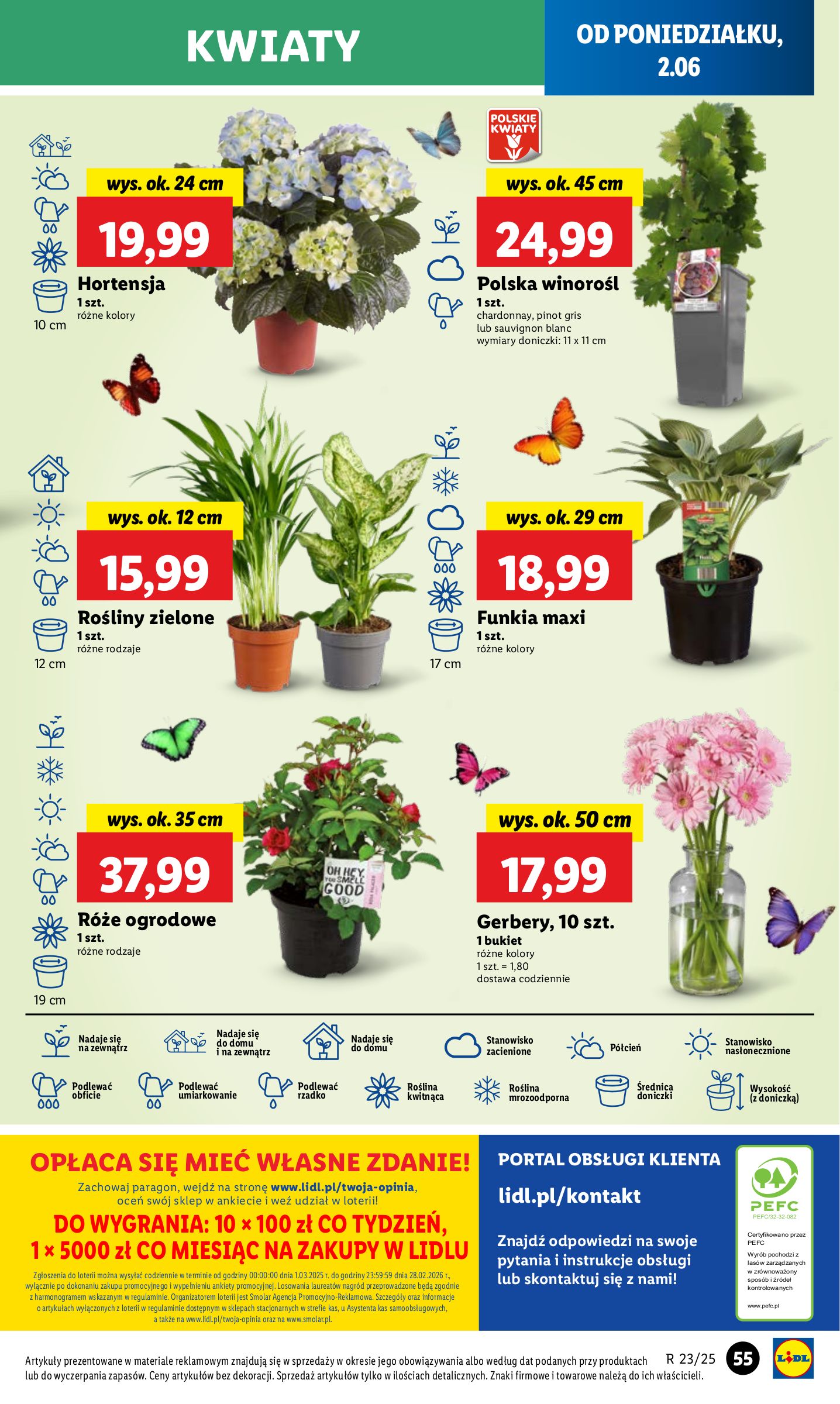 lidl - Lidl gazetka ważna od 02.06. - 04.06. - page: 61 lidl - Lidl gazetka ważna od 02.06. - 04.06. - page: 61