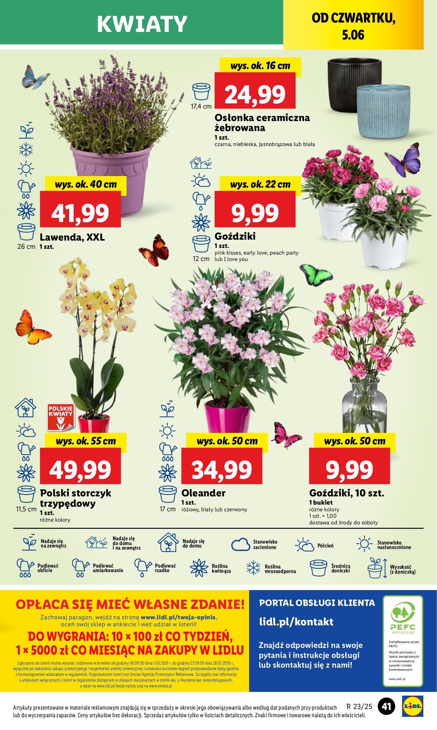 lidl - Gazetka Lidl ważna od 05.06. - 07.06. - page: 51 lidl - Gazetka Lidl ważna od 05.06. - 07.06. - page: 51