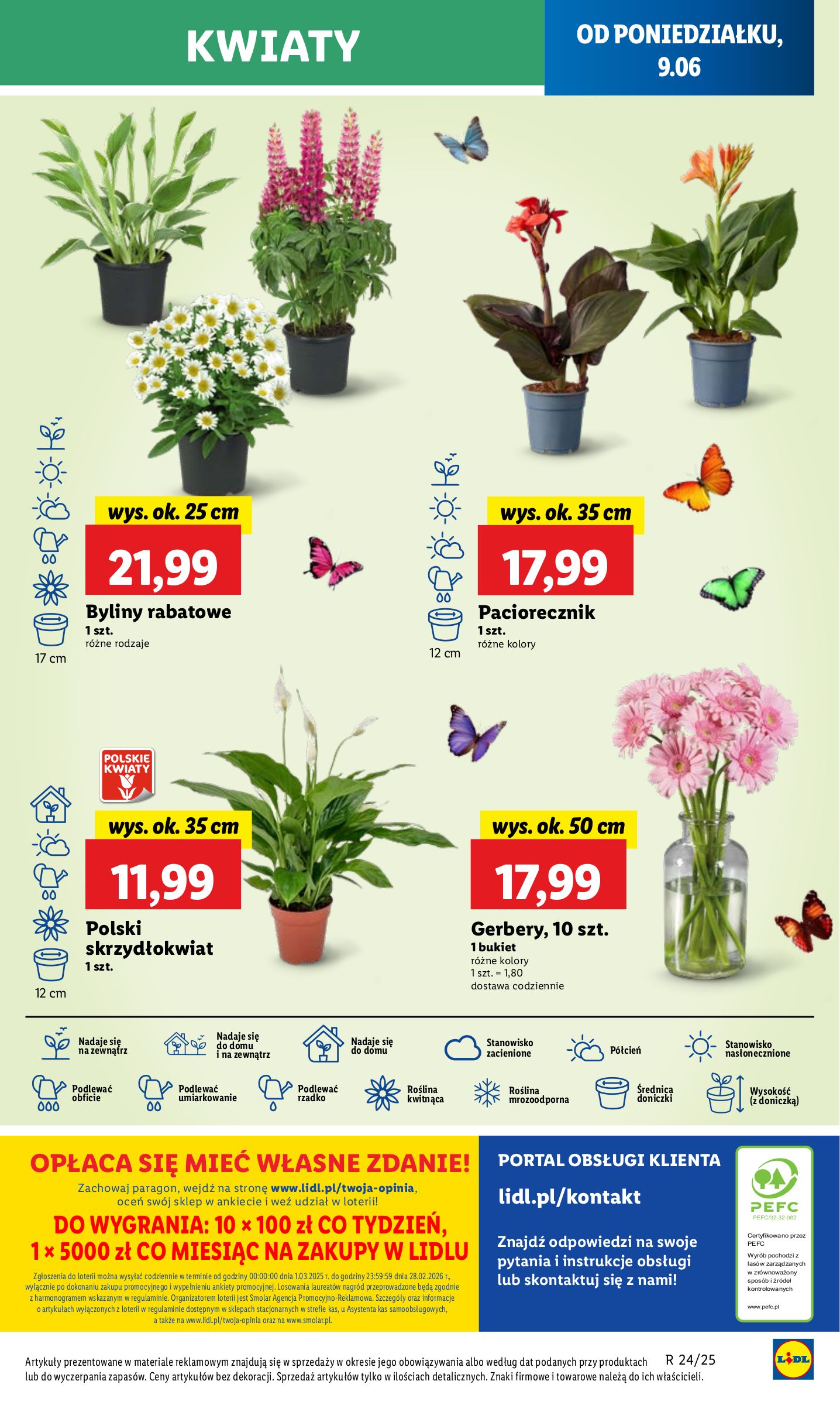 lidl - Gazetka Lidl ważna od 09.06. - 11.06. - page: 65 lidl - Gazetka Lidl ważna od 09.06. - 11.06. - page: 65