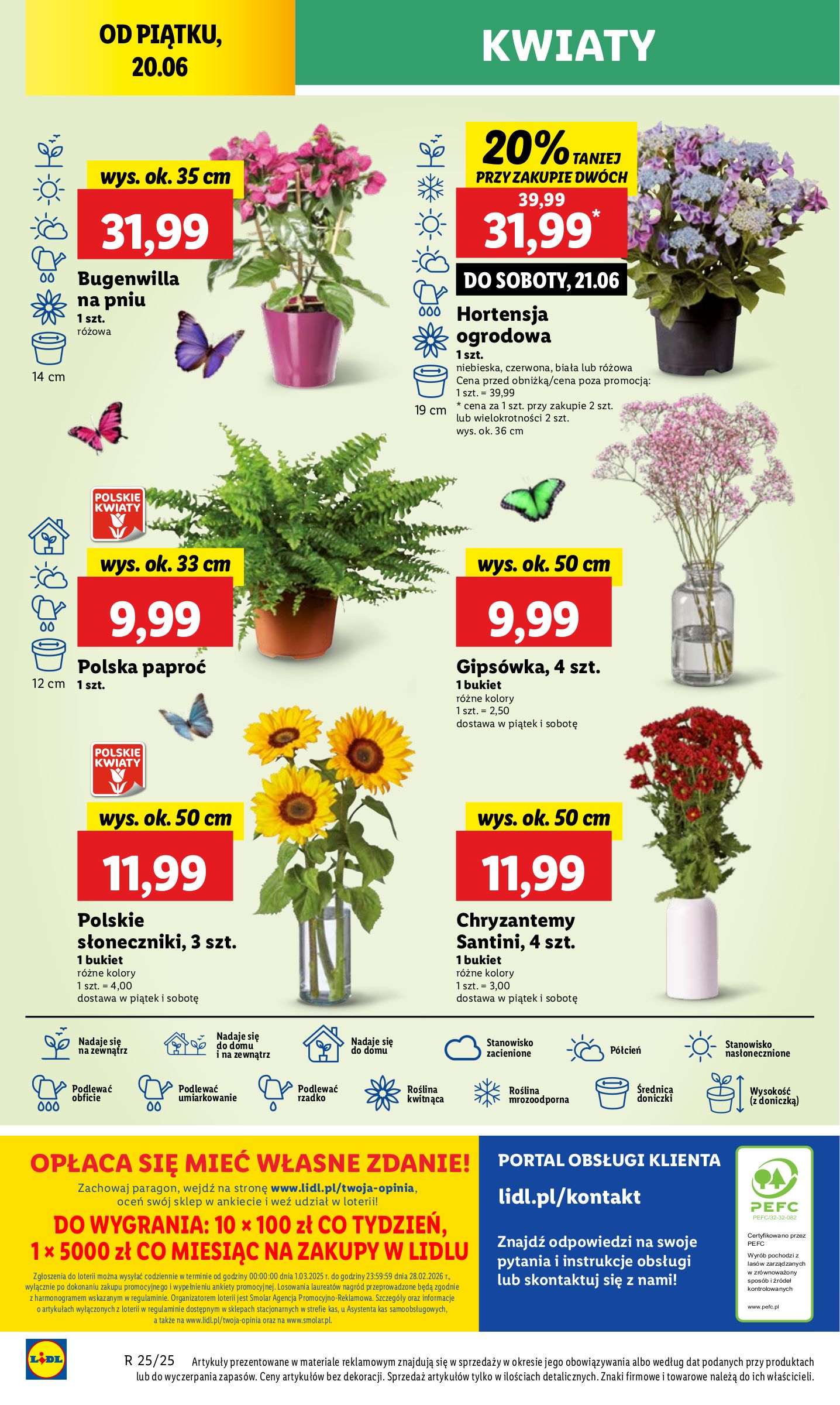 lidl - Gazetka Lidl ważna od 20.06. - 21.06. - page: 50 lidl - Gazetka Lidl ważna od 20.06. - 21.06. - page: 50