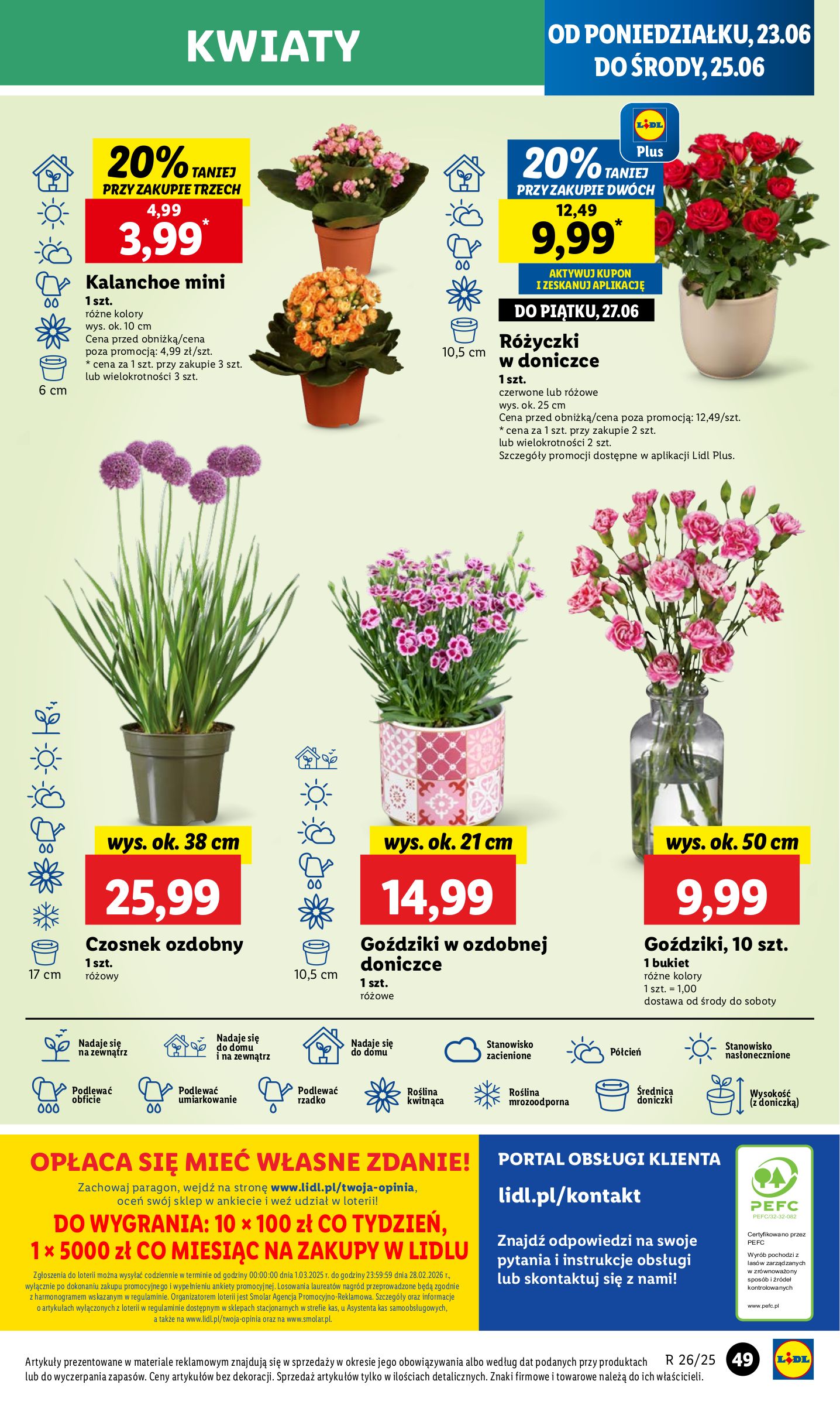 lidl - Gazetka Lidl ważna od 23.06. - 25.06. - page: 63 lidl - Gazetka Lidl ważna od 23.06. - 25.06. - page: 63