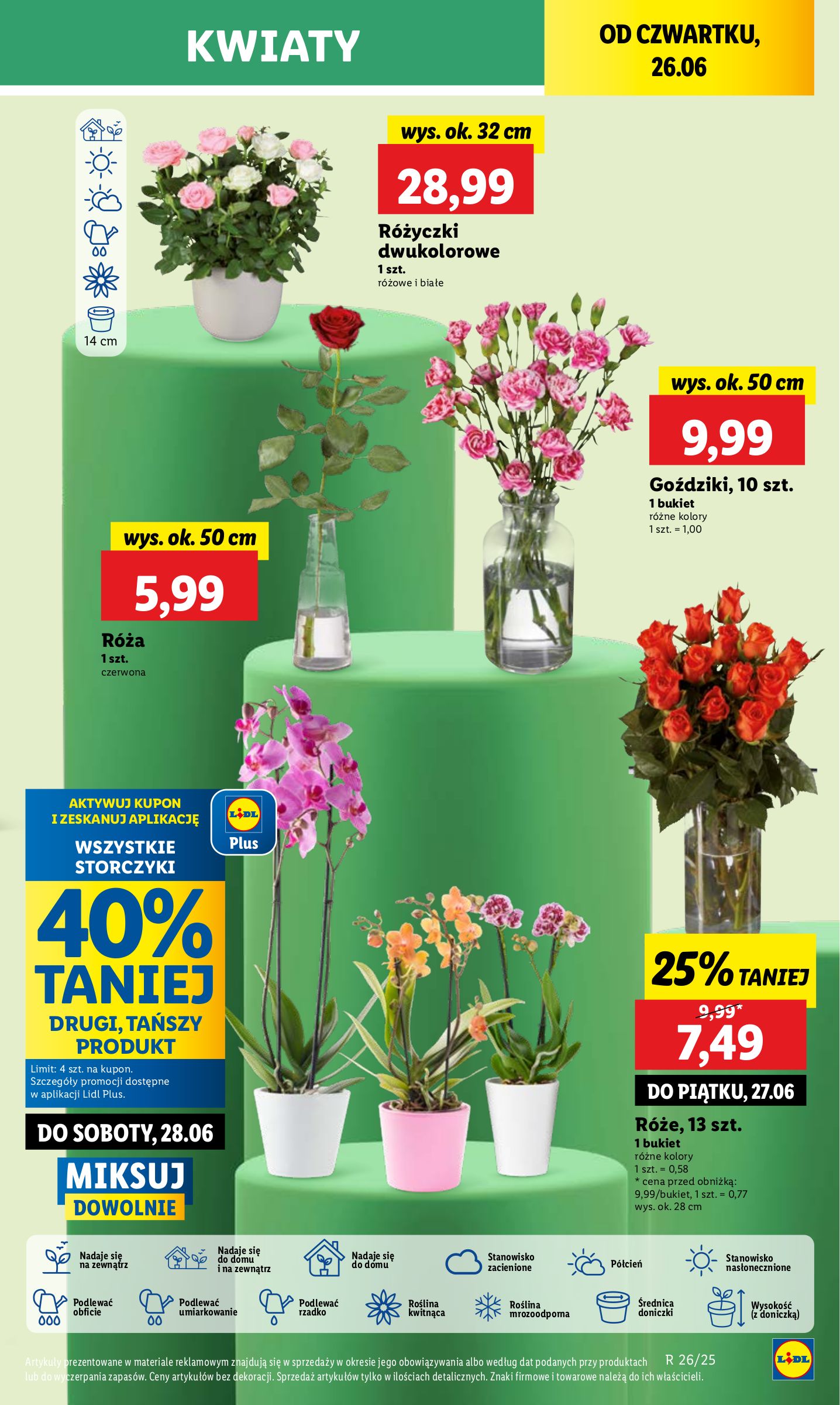lidl - Gazetka Lidl ważna od 26.06. - 29.06. - page: 59 lidl - Gazetka Lidl ważna od 26.06. - 29.06. - page: 59