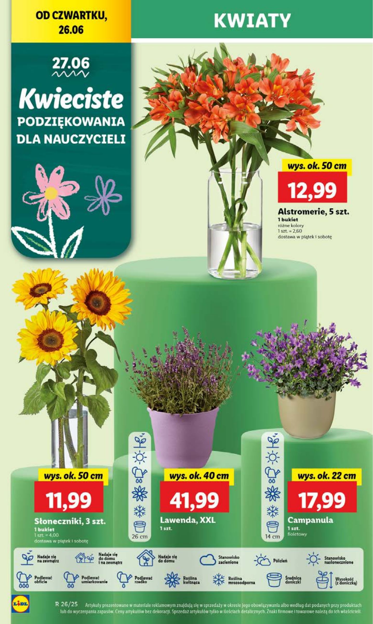 lidl - Gazetka Lidl ważna od 26.06. - 29.06. - page: 58 lidl - Gazetka Lidl ważna od 26.06. - 29.06. - page: 58