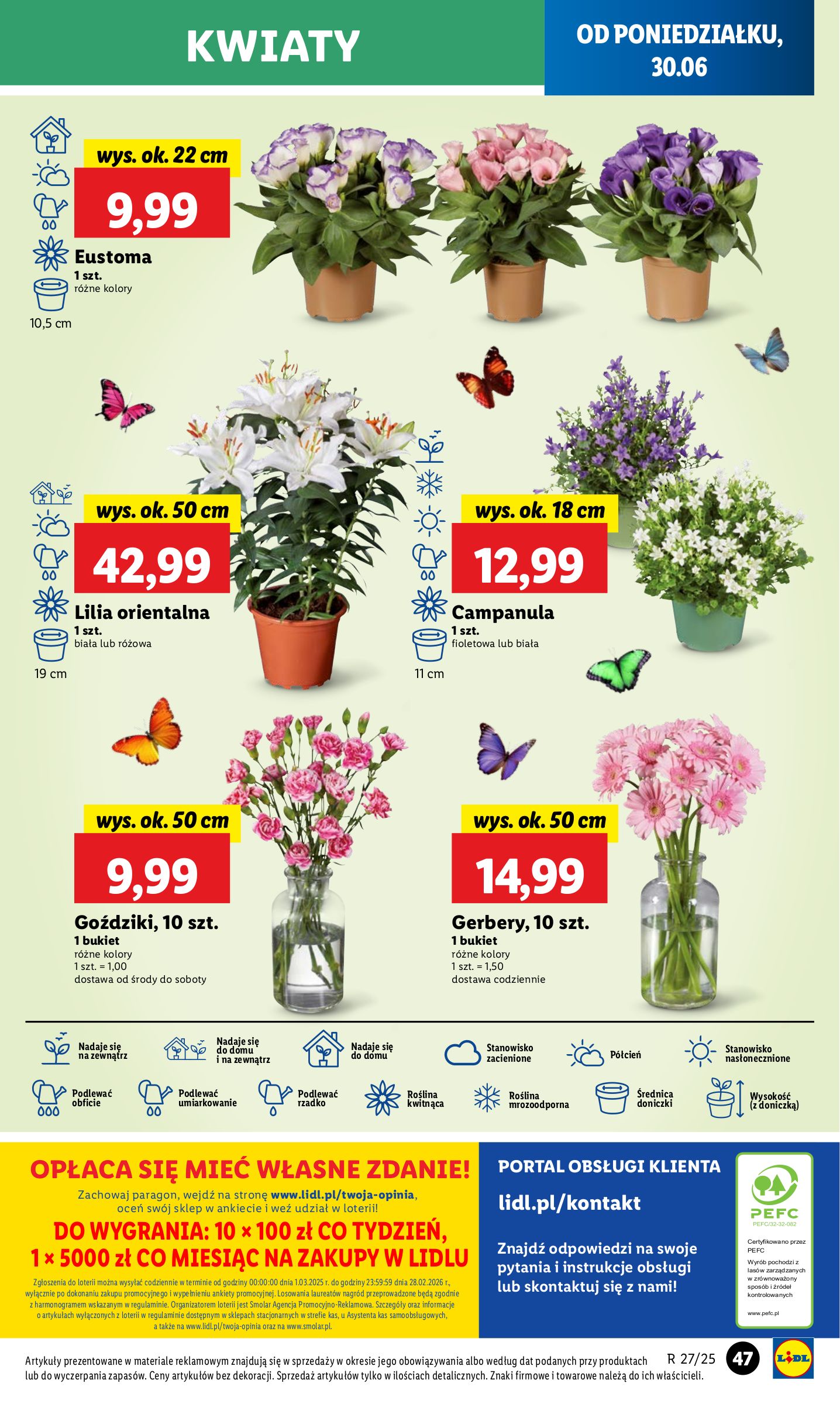 lidl - Gazetka Lidl ważna od 30.06. - 02.07. - page: 55 lidl - Gazetka Lidl ważna od 30.06. - 02.07. - page: 55