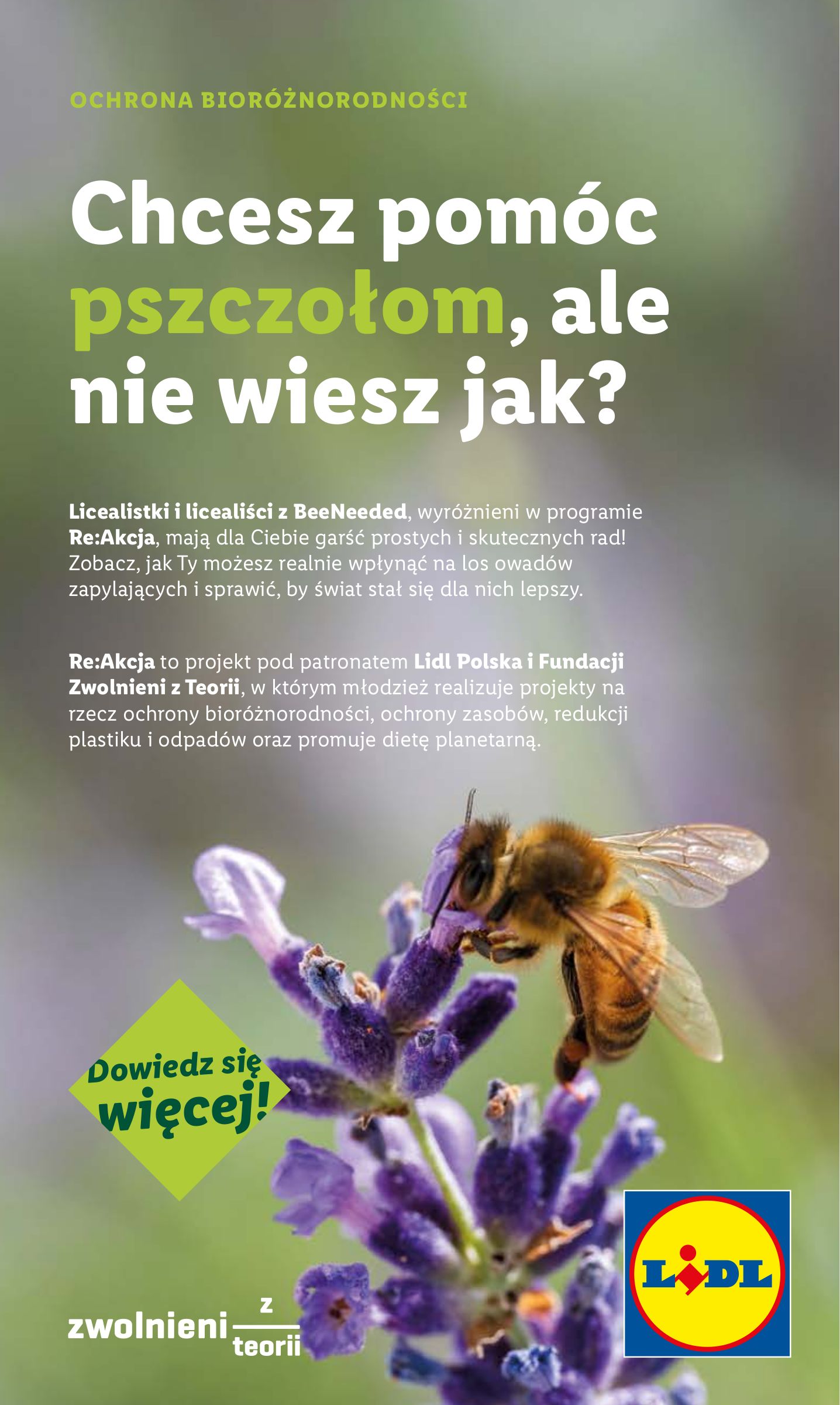 lidl - Gazetka Lidl - Katalog Okazji ważna od 07.07. - 12.07. - page: 43 lidl - Gazetka Lidl - Katalog Okazji ważna od 07.07. - 12.07. - page: 43