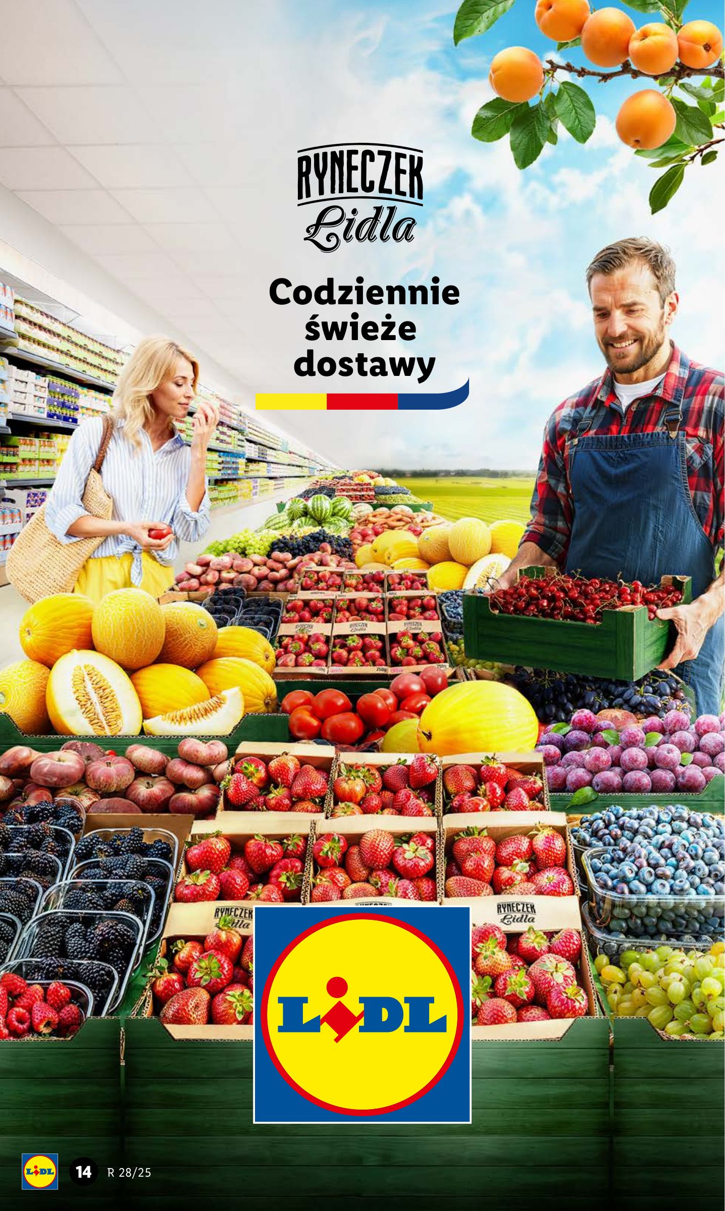 lidl - Gazetka Lidl ważna od 07.07. - 09.07. - page: 14 lidl - Gazetka Lidl ważna od 07.07. - 09.07. - page: 14