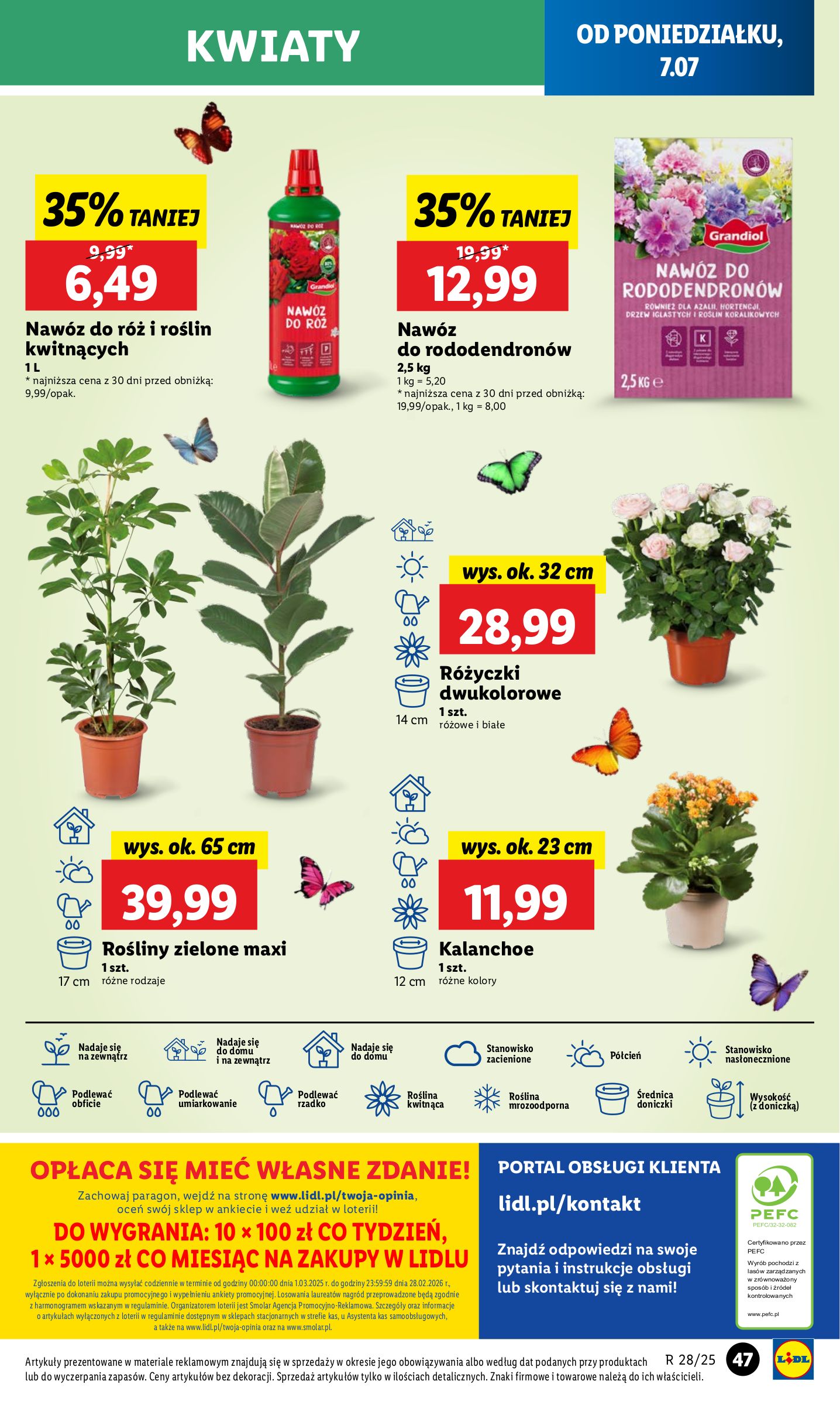 lidl - Gazetka Lidl ważna od 07.07. - 09.07. - page: 55 lidl - Gazetka Lidl ważna od 07.07. - 09.07. - page: 55