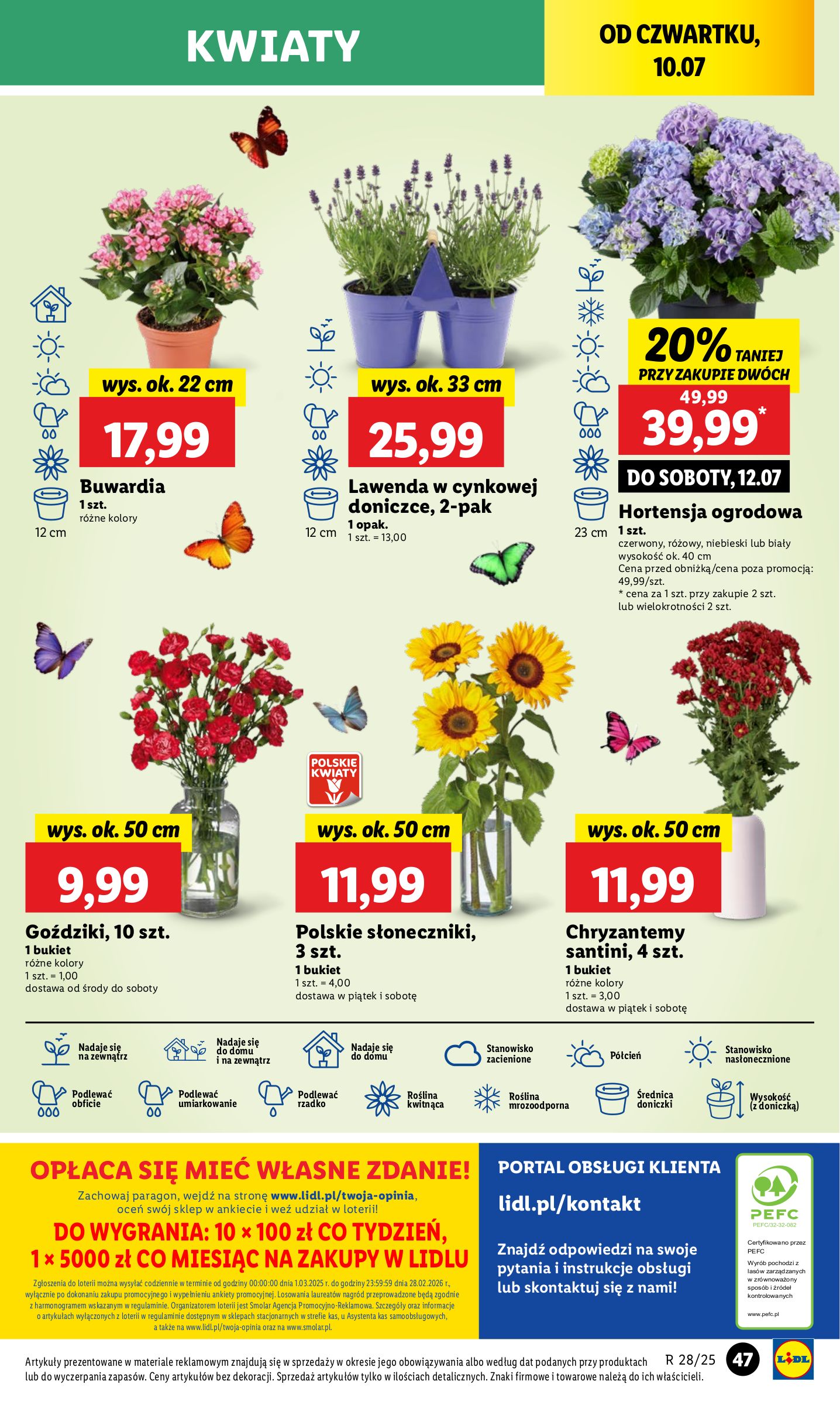 lidl - Gazetka Lidl ważna od 10.07. - 12.07. - page: 61 lidl - Gazetka Lidl ważna od 10.07. - 12.07. - page: 61