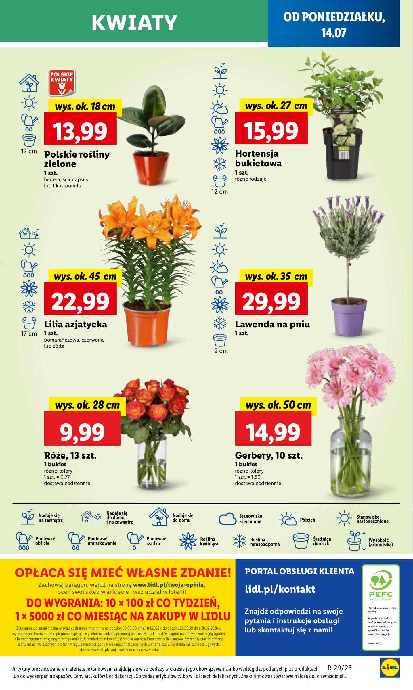 lidl - Gazetka Lidl ważna od 14.07. - 16.07. - page: 59