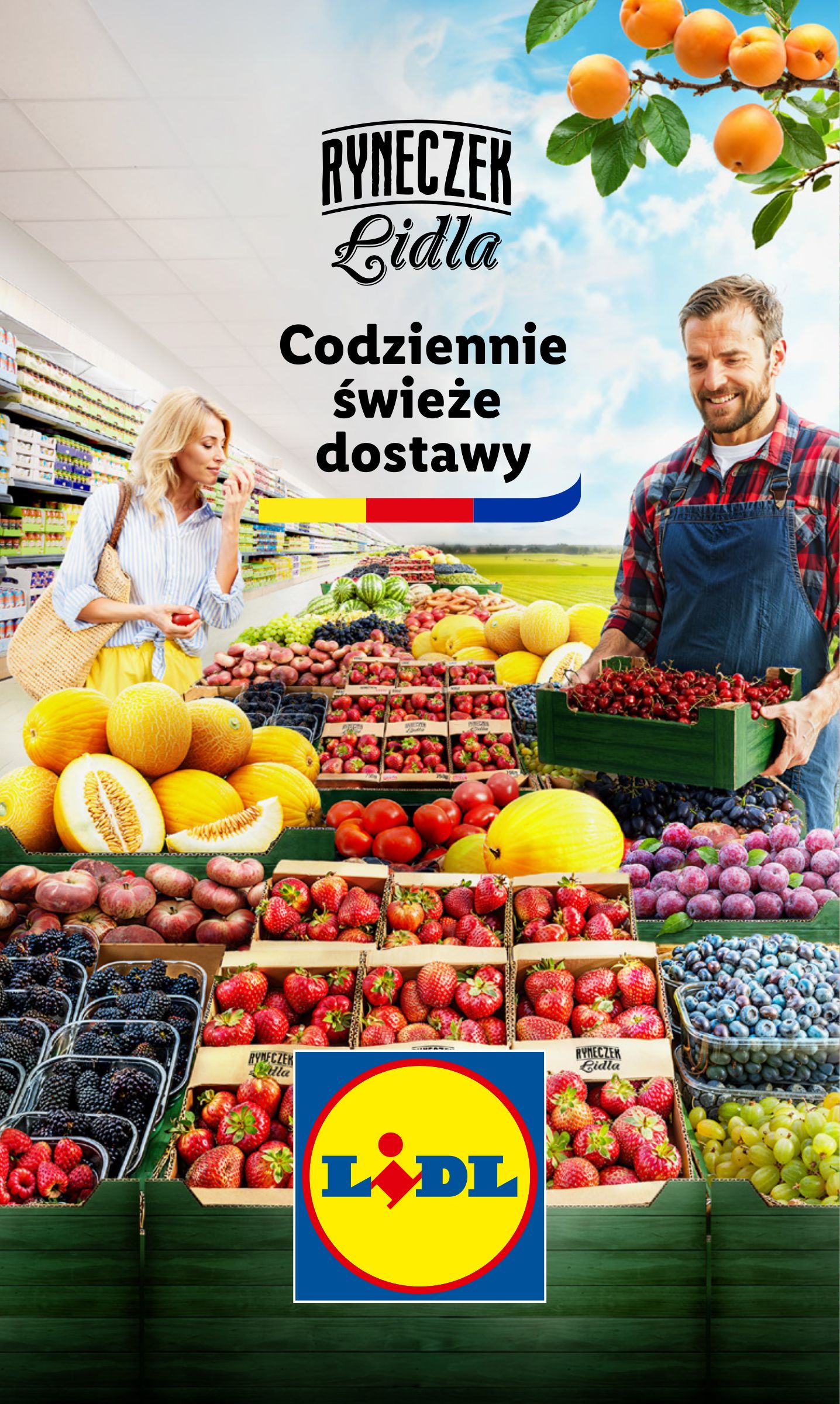 lidl - Gazetka Lidl ważna od 21.07. - 23.07. - page: 15