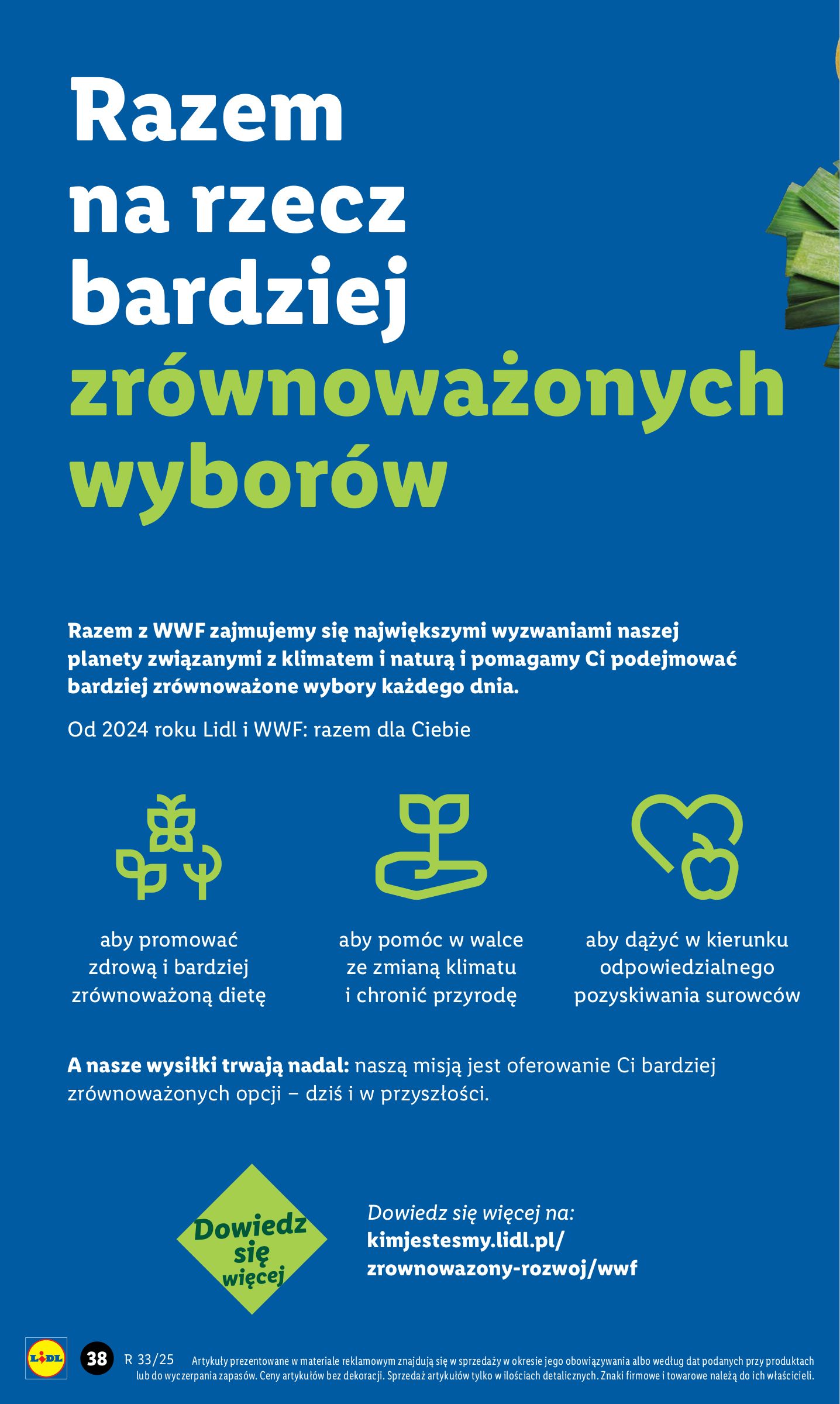 lidl - Gazetka Lidl - Katalog Okazji - ważna od 11.08. do 16.08. - page: 42