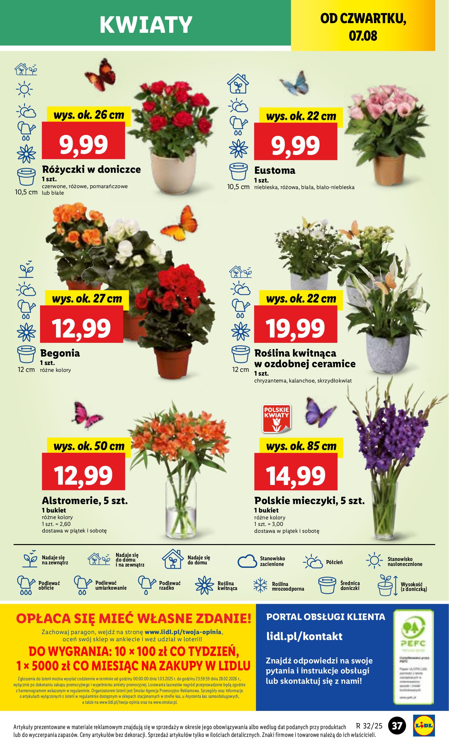 lidl - Gazetka Lidl - ważna od 07.08. do 09.08. - page: 49