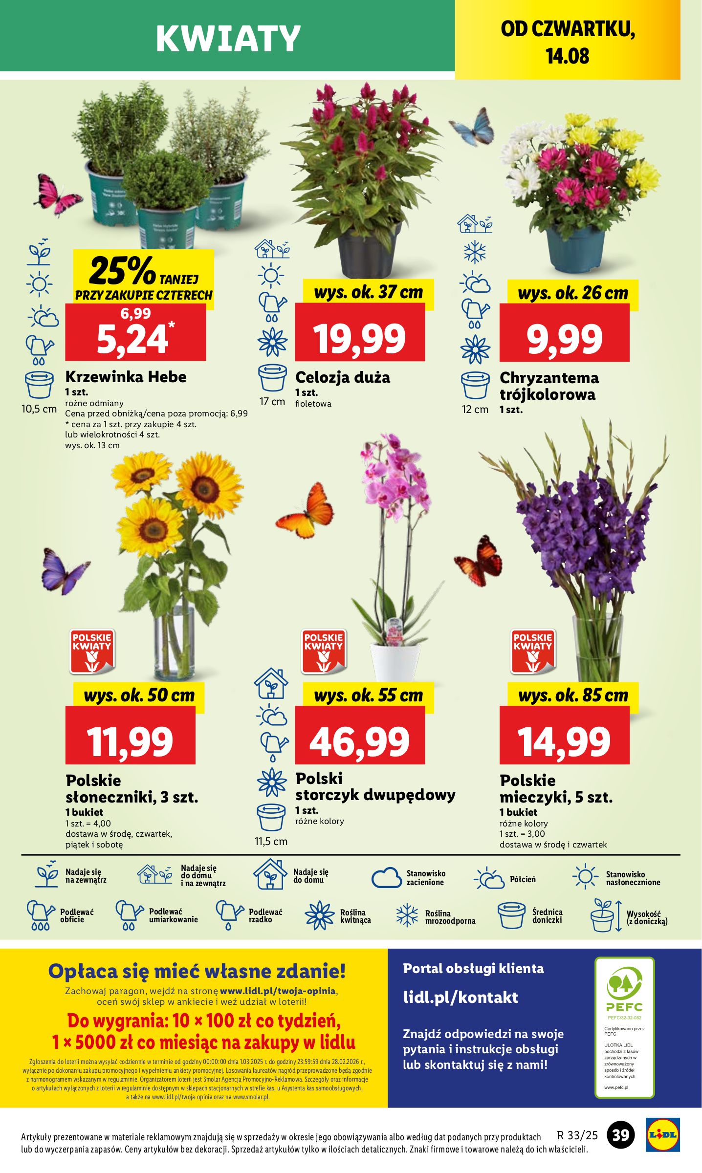 lidl - Gazetka Lidl - ważna od 13.08. do 16.08. - page: 41 lidl - Gazetka Lidl - ważna od 13.08. do 16.08. - page: 41