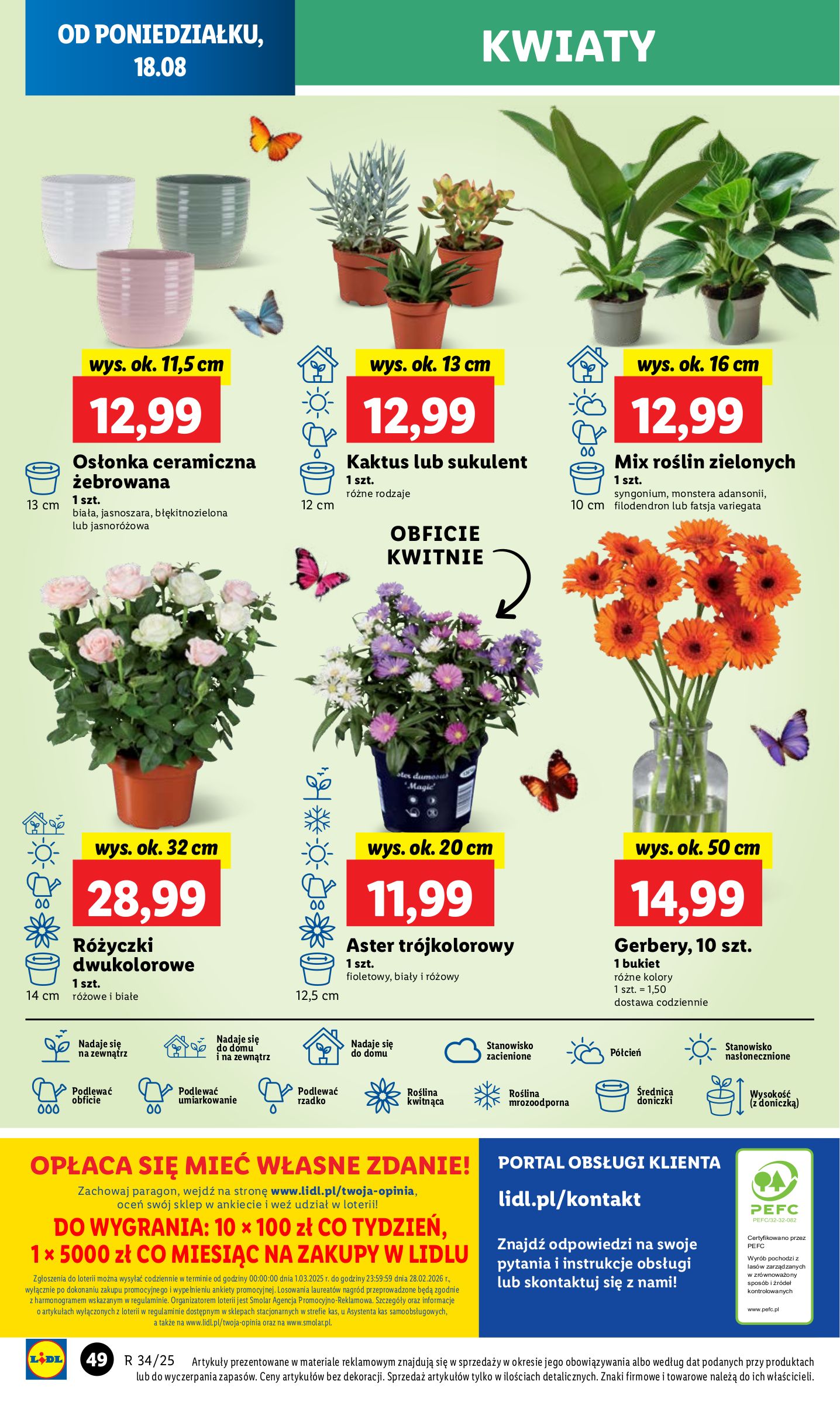 lidl - Gazetka Lidl - ważna od 18.08. do 20.08. - page: 64 lidl - Gazetka Lidl - ważna od 18.08. do 20.08. - page: 64