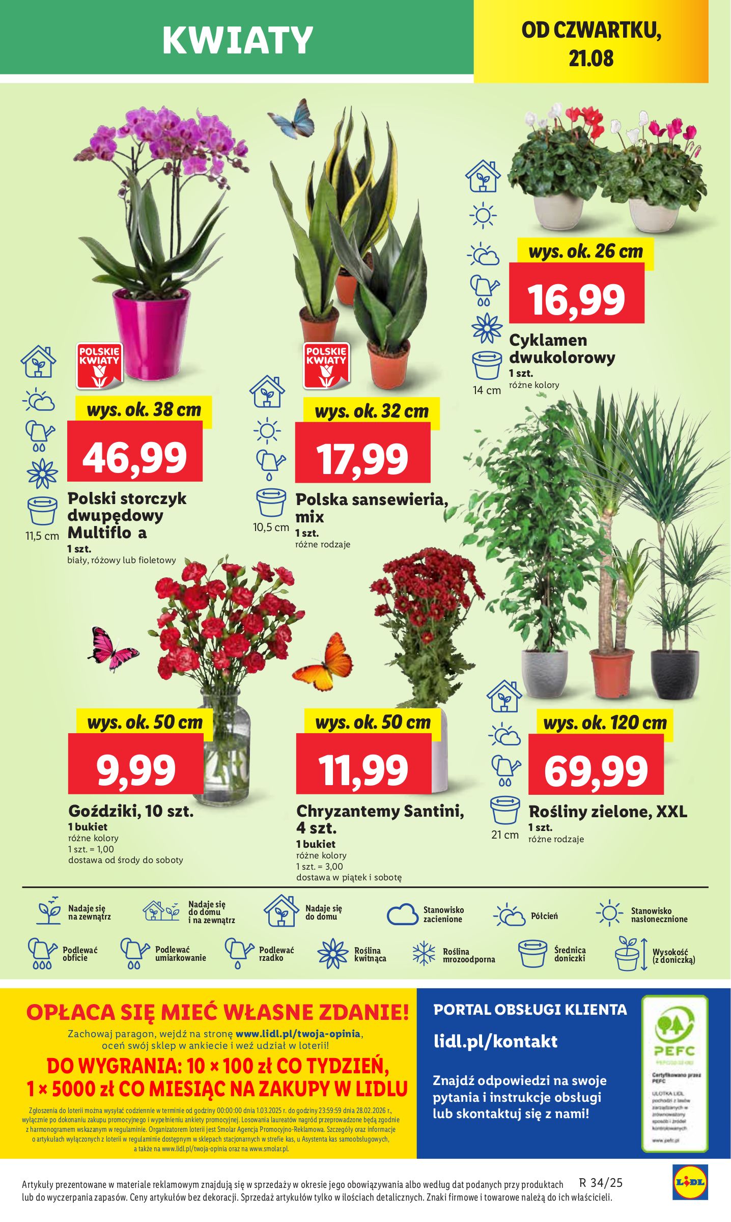 lidl - Gazetka Lidl - ważna od 21.08. do 23.08. - page: 49 lidl - Gazetka Lidl - ważna od 21.08. do 23.08. - page: 49
