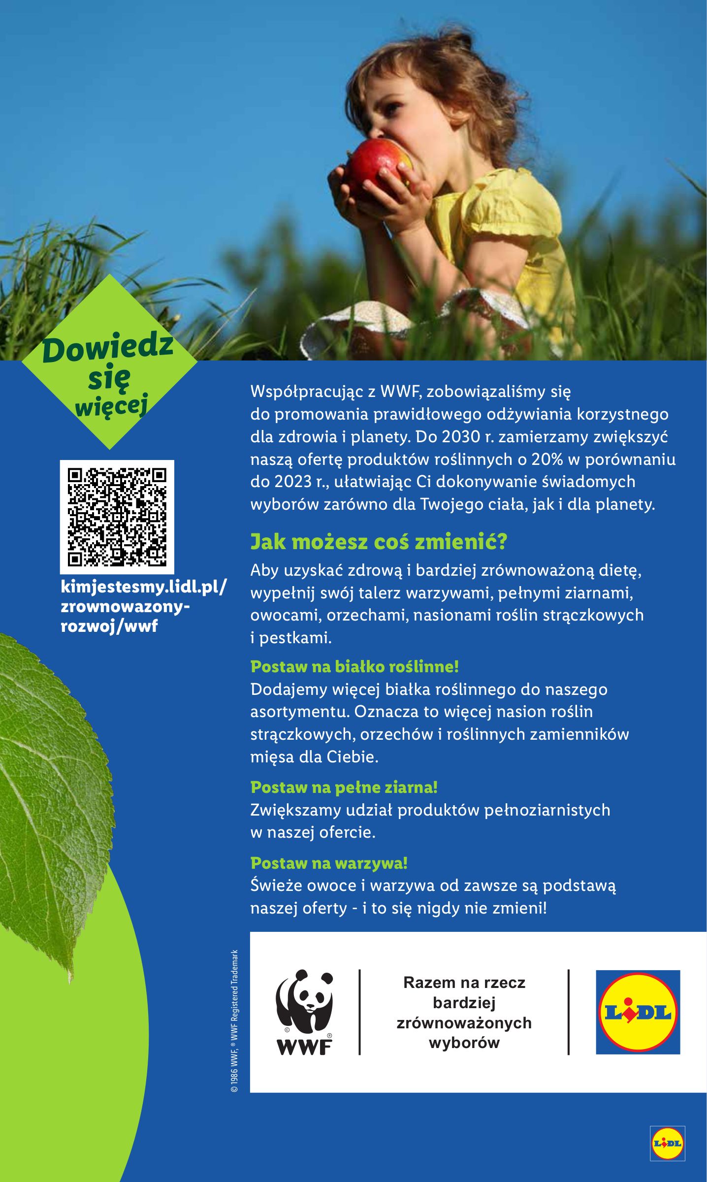 lidl - Gazetka Lidl - ważna od 25.08. do 27.08. - page: 65 lidl - Gazetka Lidl - ważna od 25.08. do 27.08. - page: 65