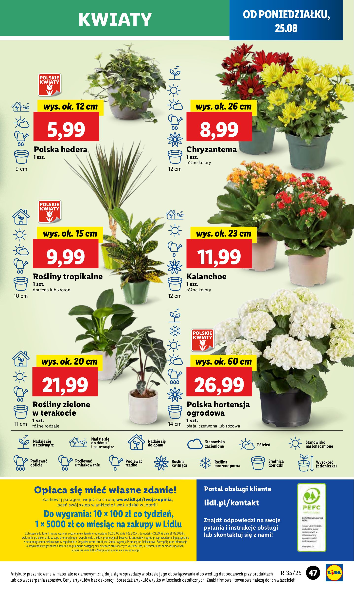 lidl - Gazetka Lidl - ważna od 25.08. do 27.08. - page: 53 lidl - Gazetka Lidl - ważna od 25.08. do 27.08. - page: 53