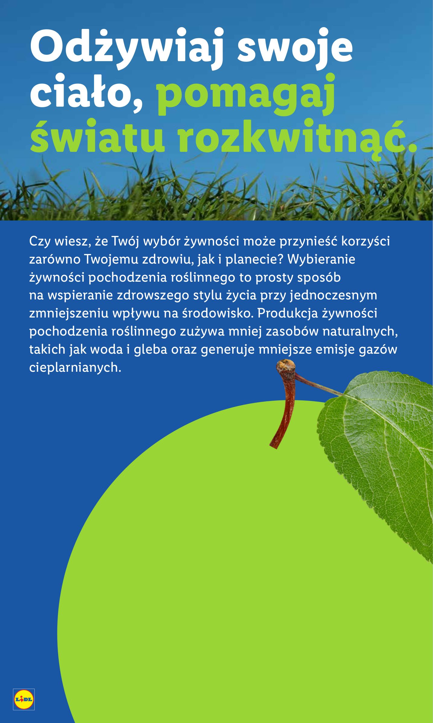 lidl - Gazetka Lidl - ważna od 25.08. do 27.08. - page: 64 lidl - Gazetka Lidl - ważna od 25.08. do 27.08. - page: 64