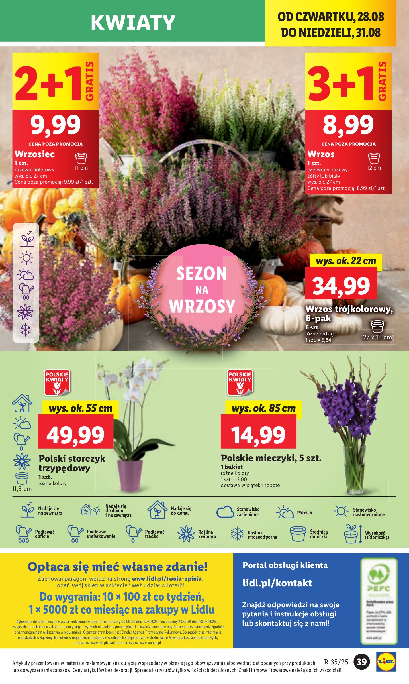 lidl - Gazetka Lidl - ważna od 28.08. do 31.08. - page: 43 lidl - Gazetka Lidl - ważna od 28.08. do 31.08. - page: 43