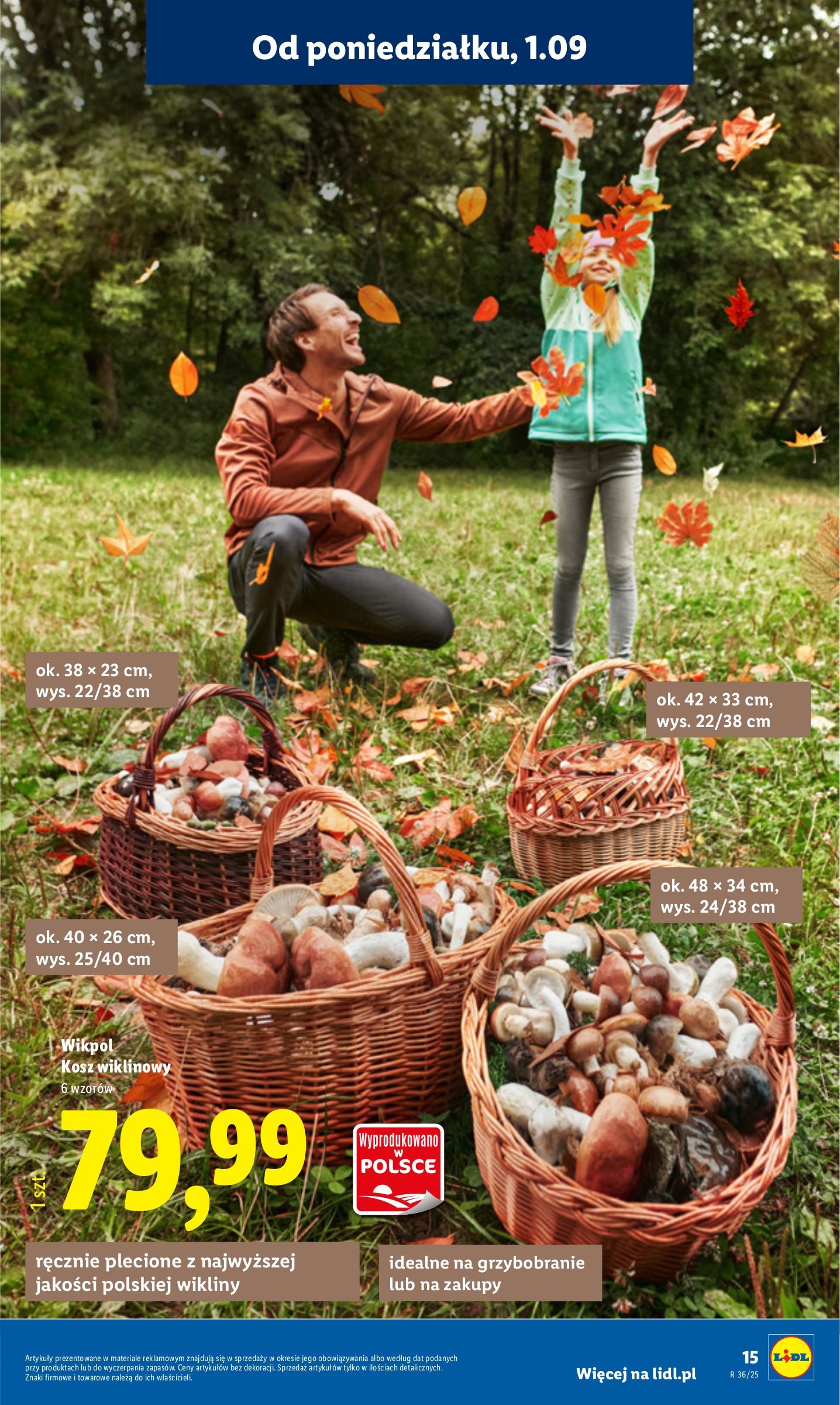 lidl - Gazetka Lidl - Non Food - ważna od 01.09. do 06.09. - page: 17 lidl - Gazetka Lidl - Non Food - ważna od 01.09. do 06.09. - page: 17