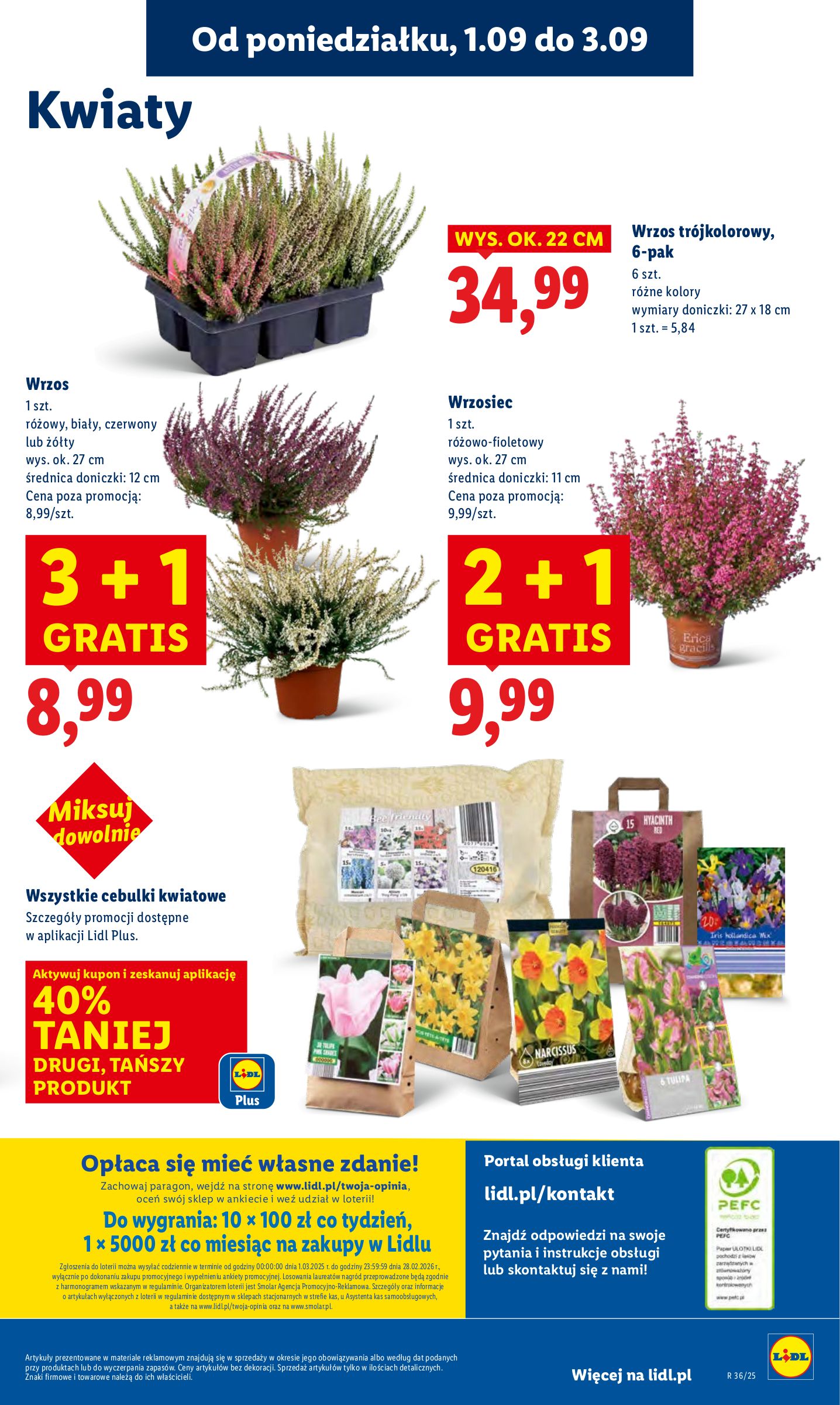 lidl - Gazetka Lidl - ważna od 01.09. do 03.09. - page: 57