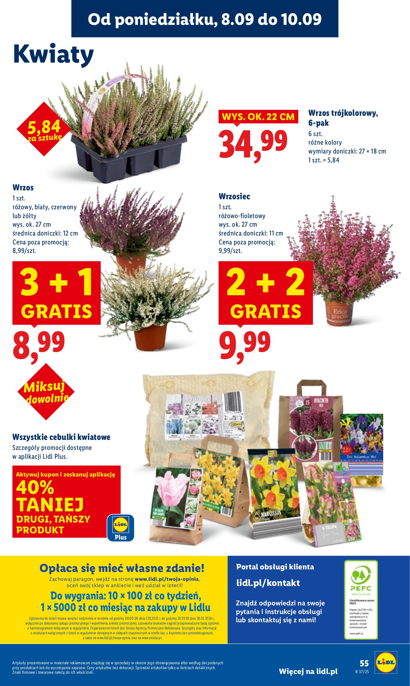 lidl - Gazetka Lidl - ważna od 08.09. do 10.09. - page: 61
