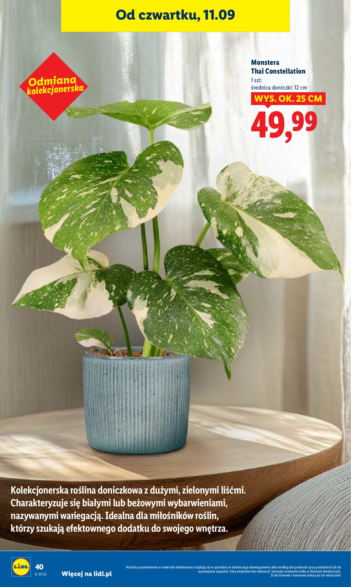lidl - Gazetka Lidl - ważna od 11.09. do 13.09. - page: 46