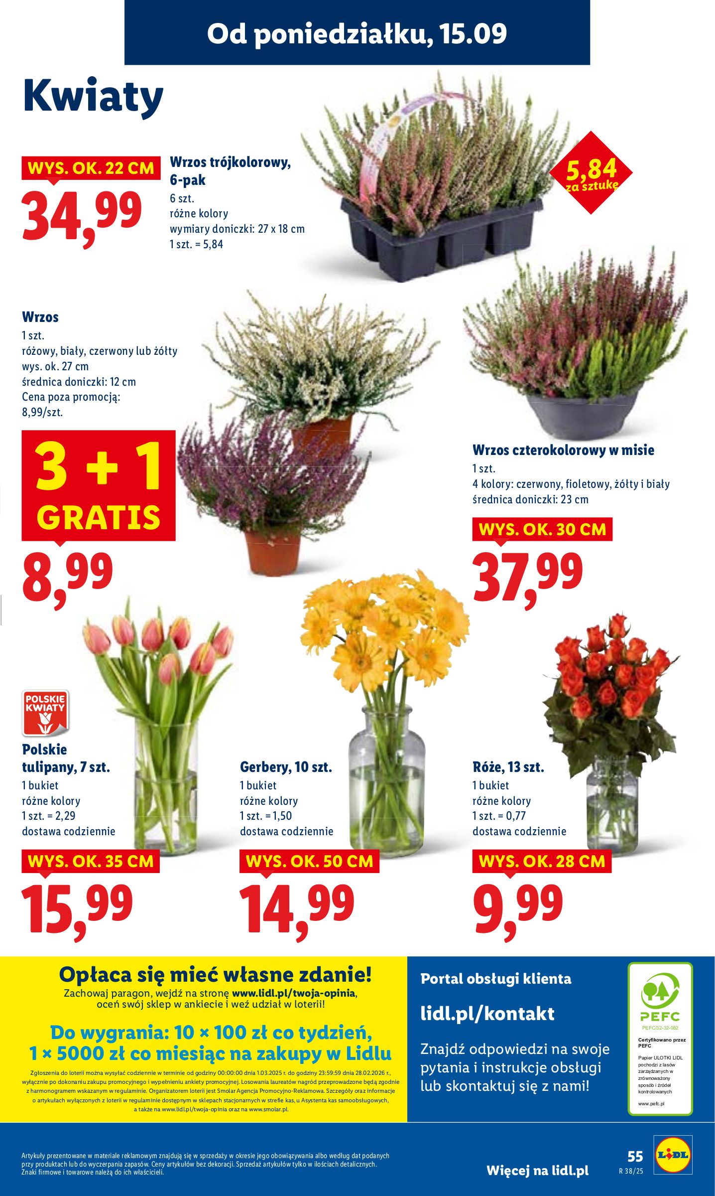 lidl - Gazetka Lidl - ważna od 15.09. do 17.09. - page: 61 lidl - Gazetka Lidl - ważna od 15.09. do 17.09. - page: 61