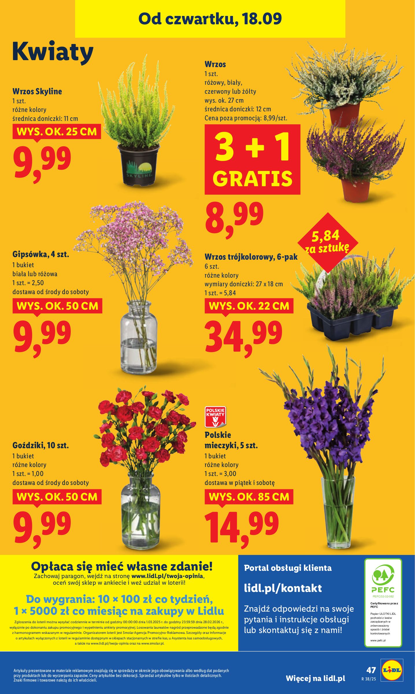 lidl - Gazetka Lidl - ważna od 18.09. do 20.09. - page: 55