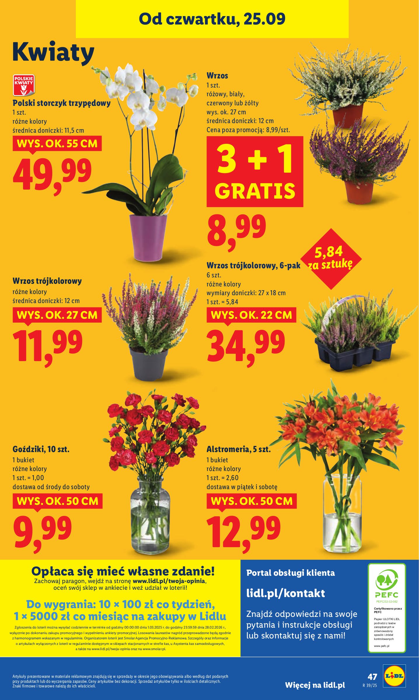 lidl - Gazetka Lidl - ważna od 25.09. do 27.09. - page: 51