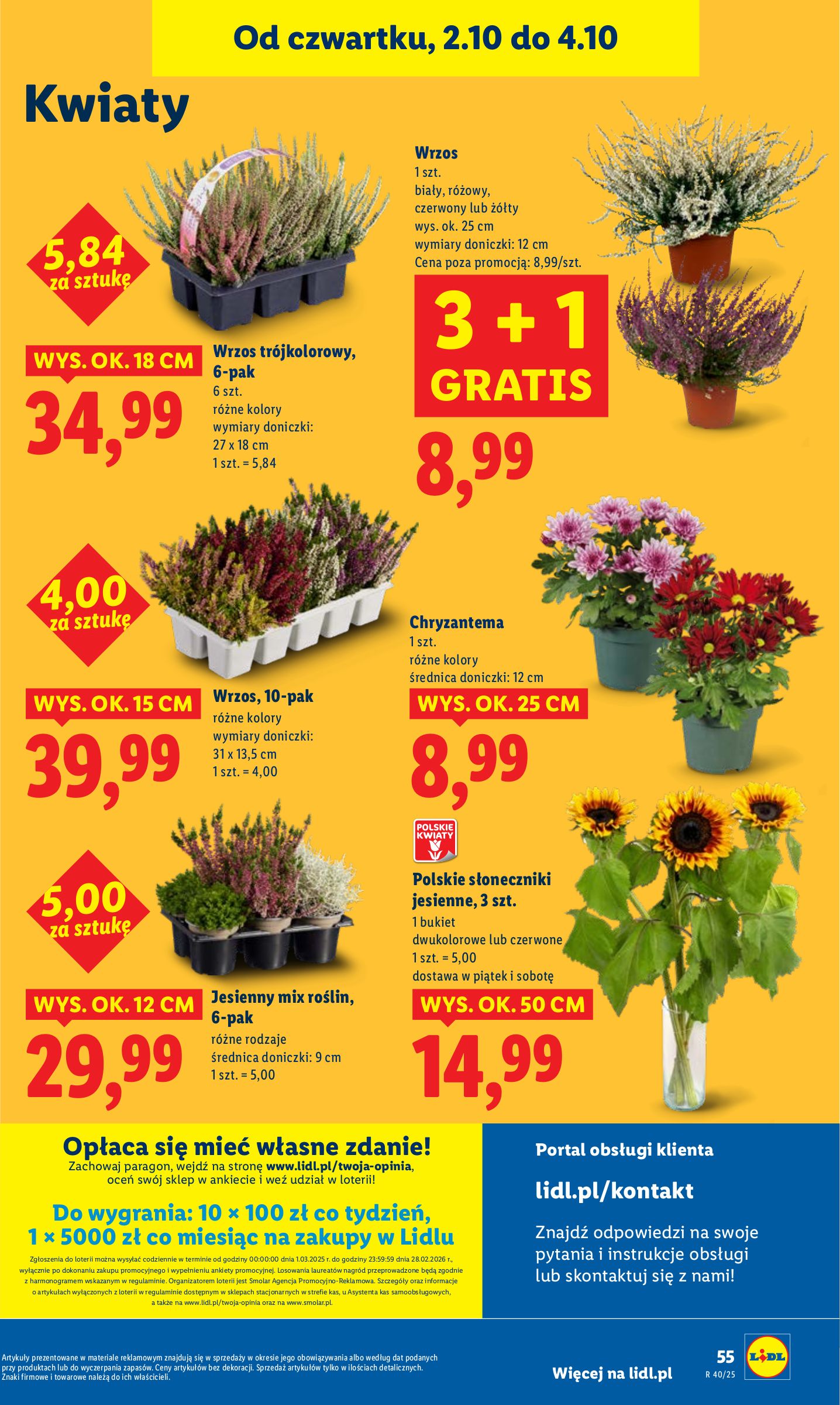lidl - Gazetka Lidl - ważna od 02.10. do 04.10. - page: 59