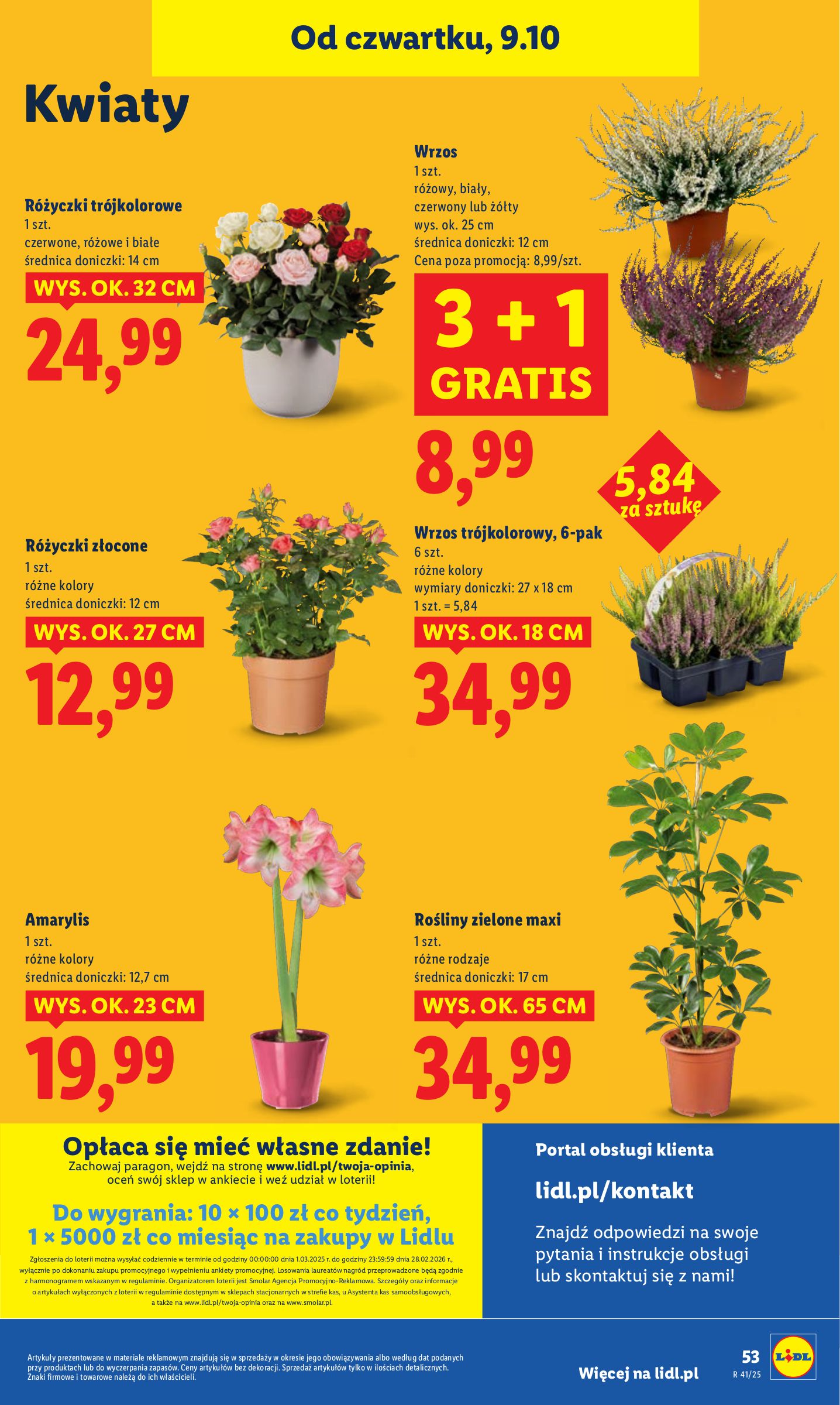 lidl - Gazetka Lidl - ważna od 09.10. do 11.10. - page: 59