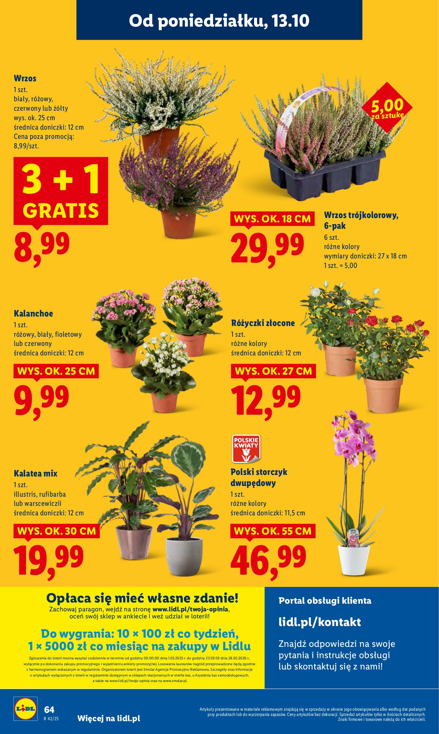 lidl - Gazetka Lidl - ważna od 13.10. do 15.10. - page: 64 lidl - Gazetka Lidl - ważna od 13.10. do 15.10. - page: 64