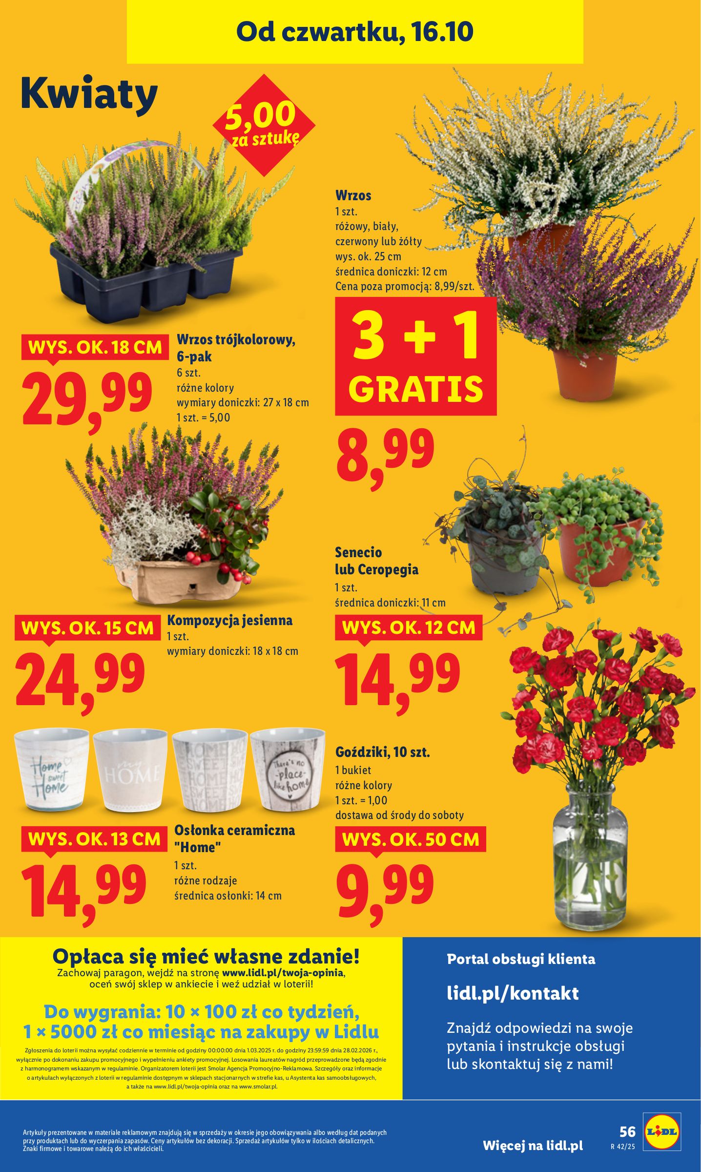lidl - Gazetka Lidl - ważna od 16.10. do 18.10. - page: 60 lidl - Gazetka Lidl - ważna od 16.10. do 18.10. - page: 60