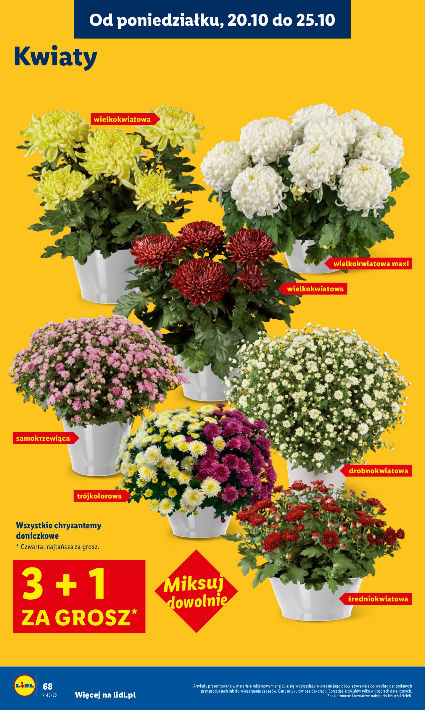 lidl - Gazetka Lidl - ważna od 20.10. do 22.10. - page: 68 lidl - Gazetka Lidl - ważna od 20.10. do 22.10. - page: 68
