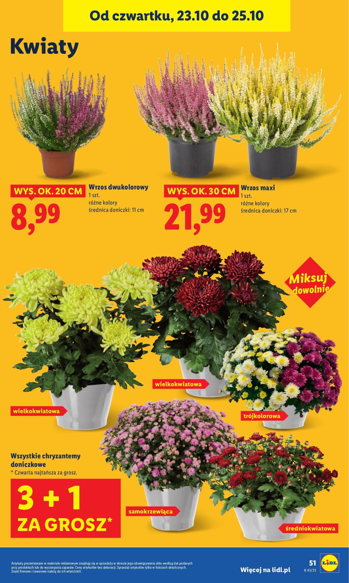 lidl - Gazetka Lidl - ważna od 23.10. do 25.10. - page: 55 lidl - Gazetka Lidl - ważna od 23.10. do 25.10. - page: 55